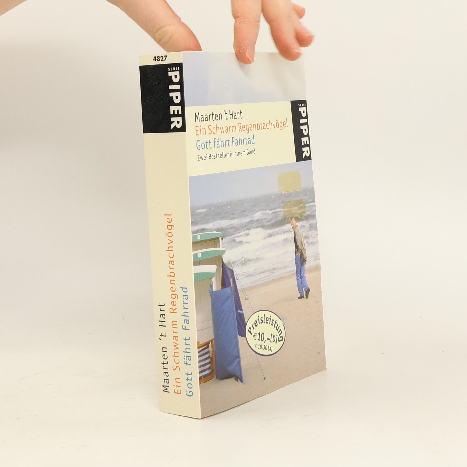 Maarten ’t Hart Ein Schwarm Regenbrachvögel