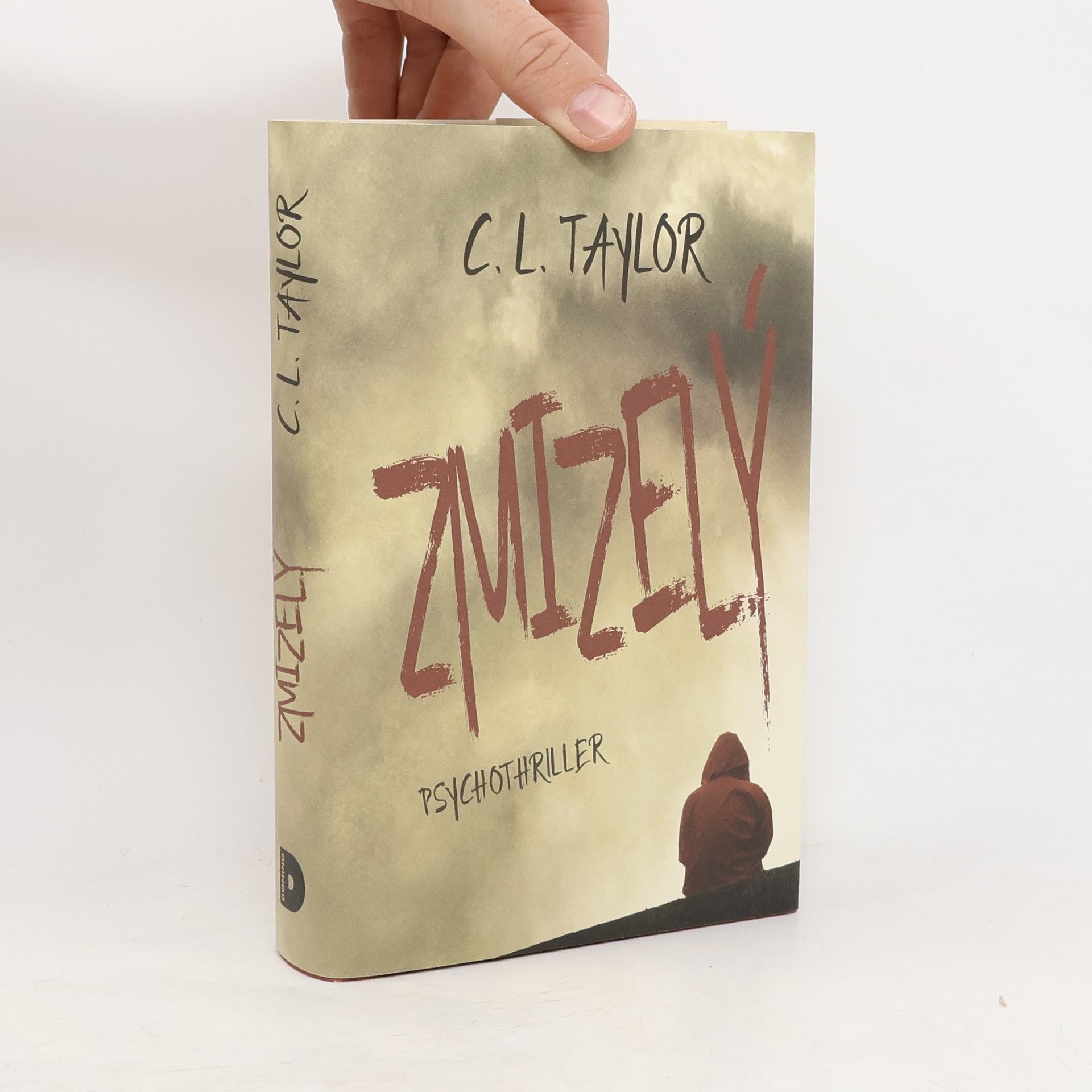 C.L. Taylor Zmizelý