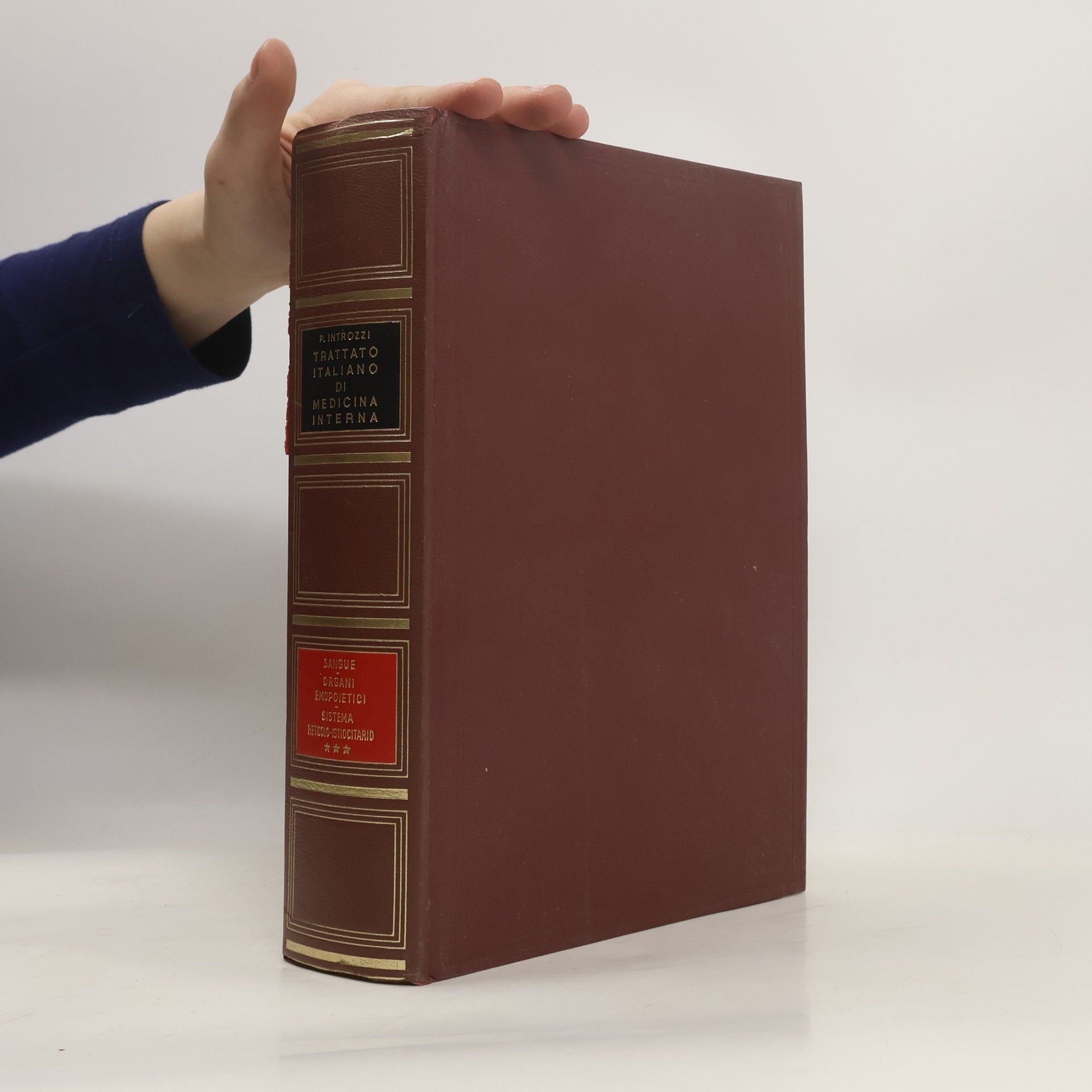 Trattato italiano di medicina interna
