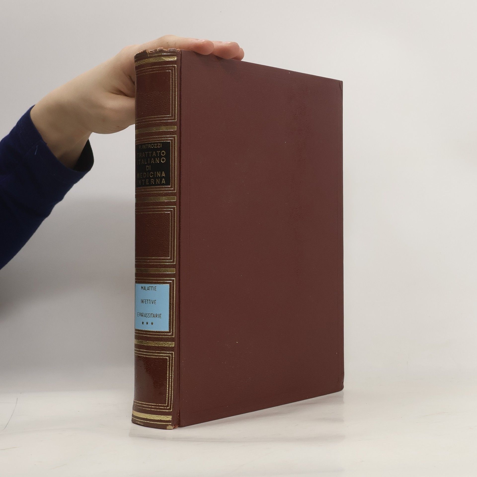Paolo Introzzi Trattato italiano di medicina interna