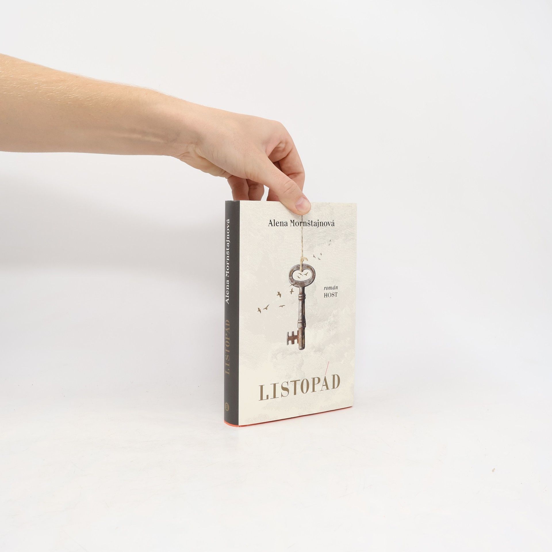 Alena Mornštajnová Listopád