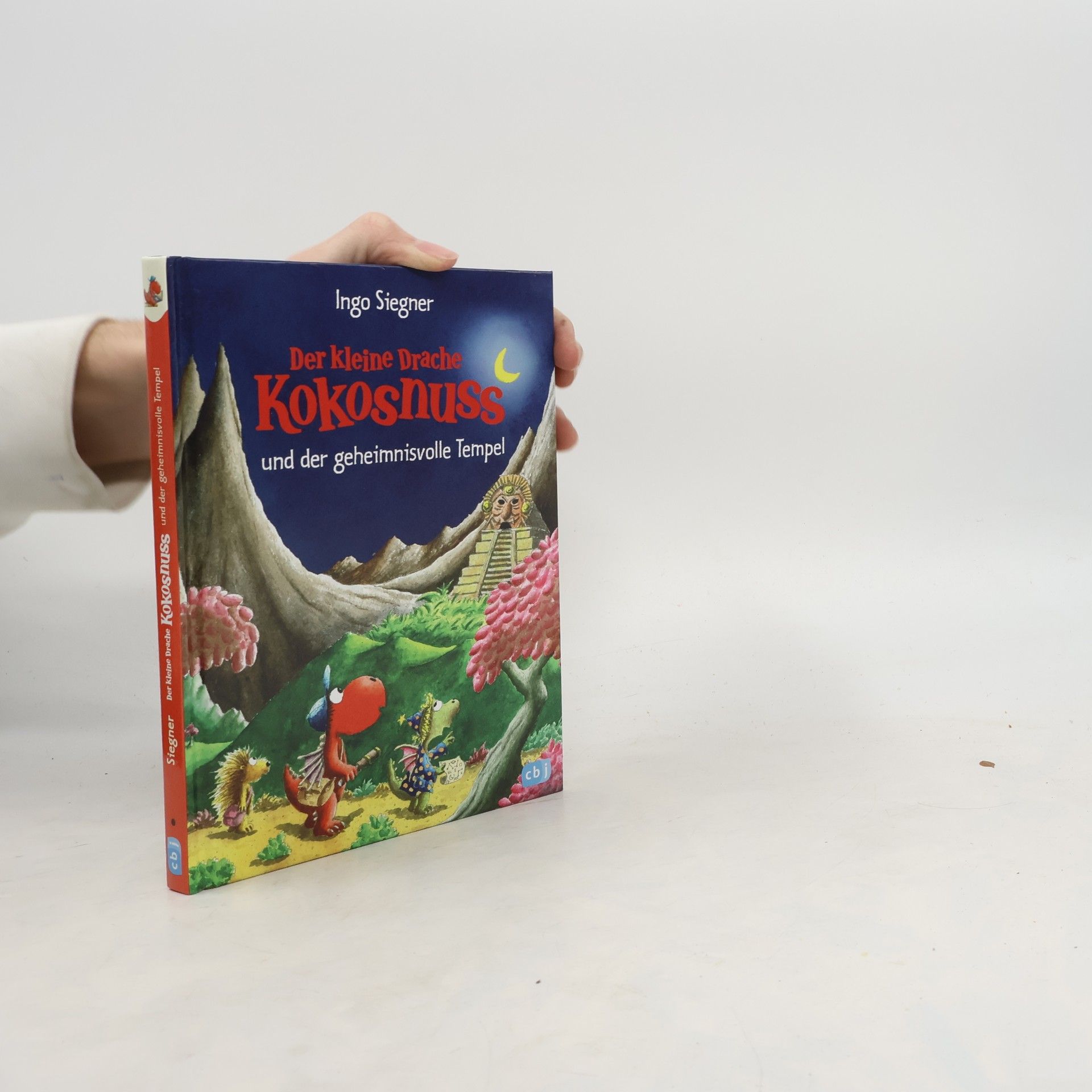 Ingo Siegner Der kleine Drache Kokosnuss und der geheimnisvolle Tempel