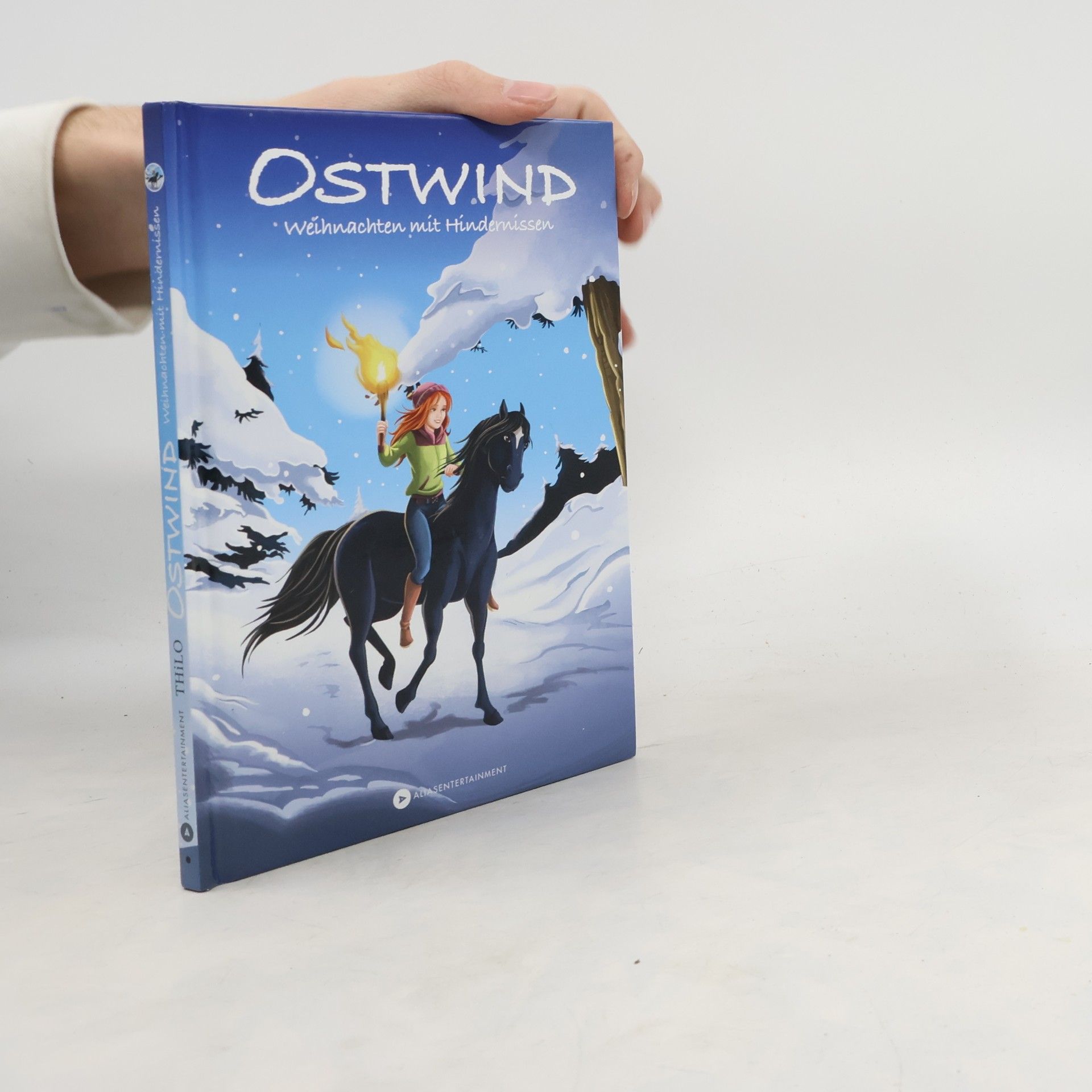 Thilo Ostwind - Weihnachten mit Hindernissen