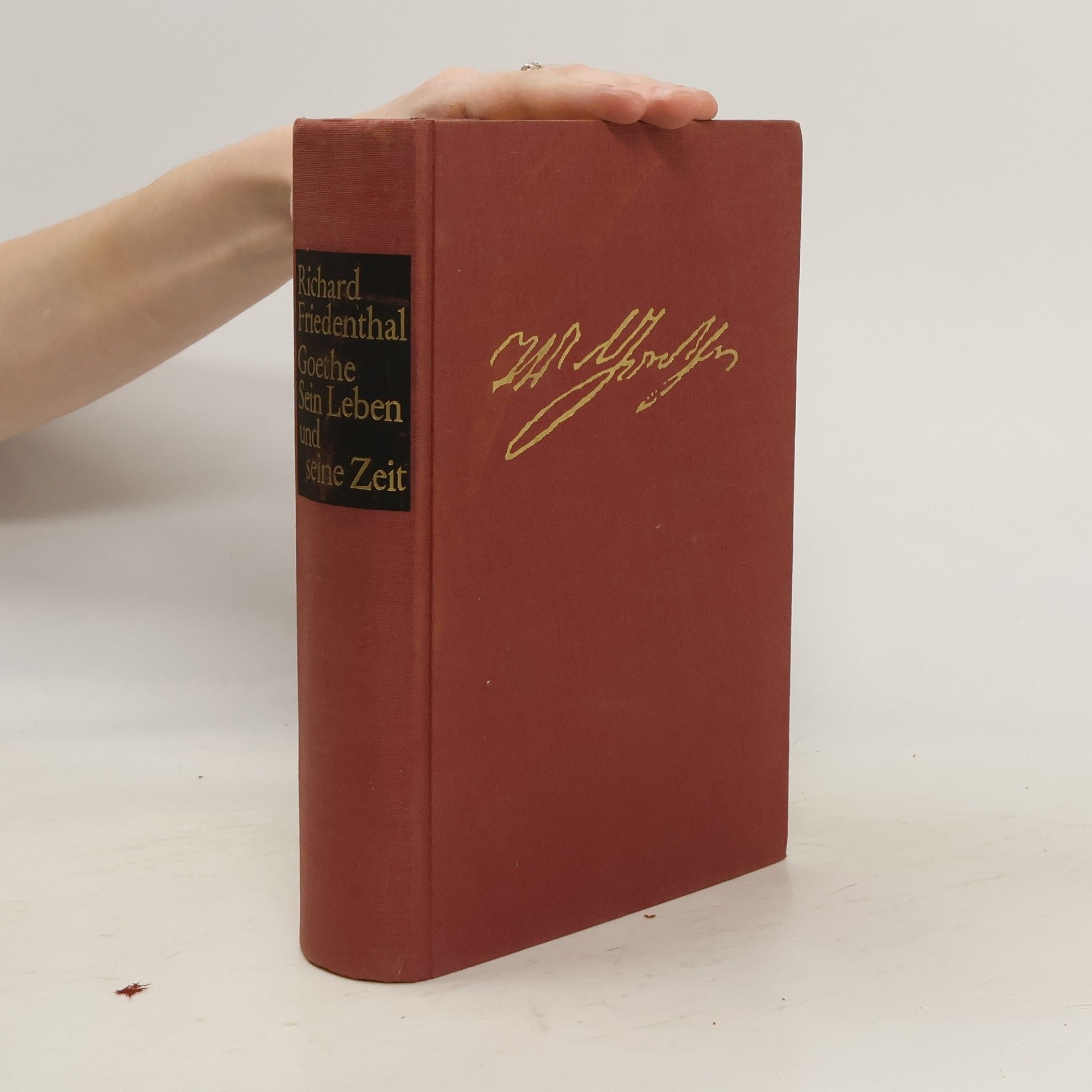 Goethe: sein Leben und seine Zeit