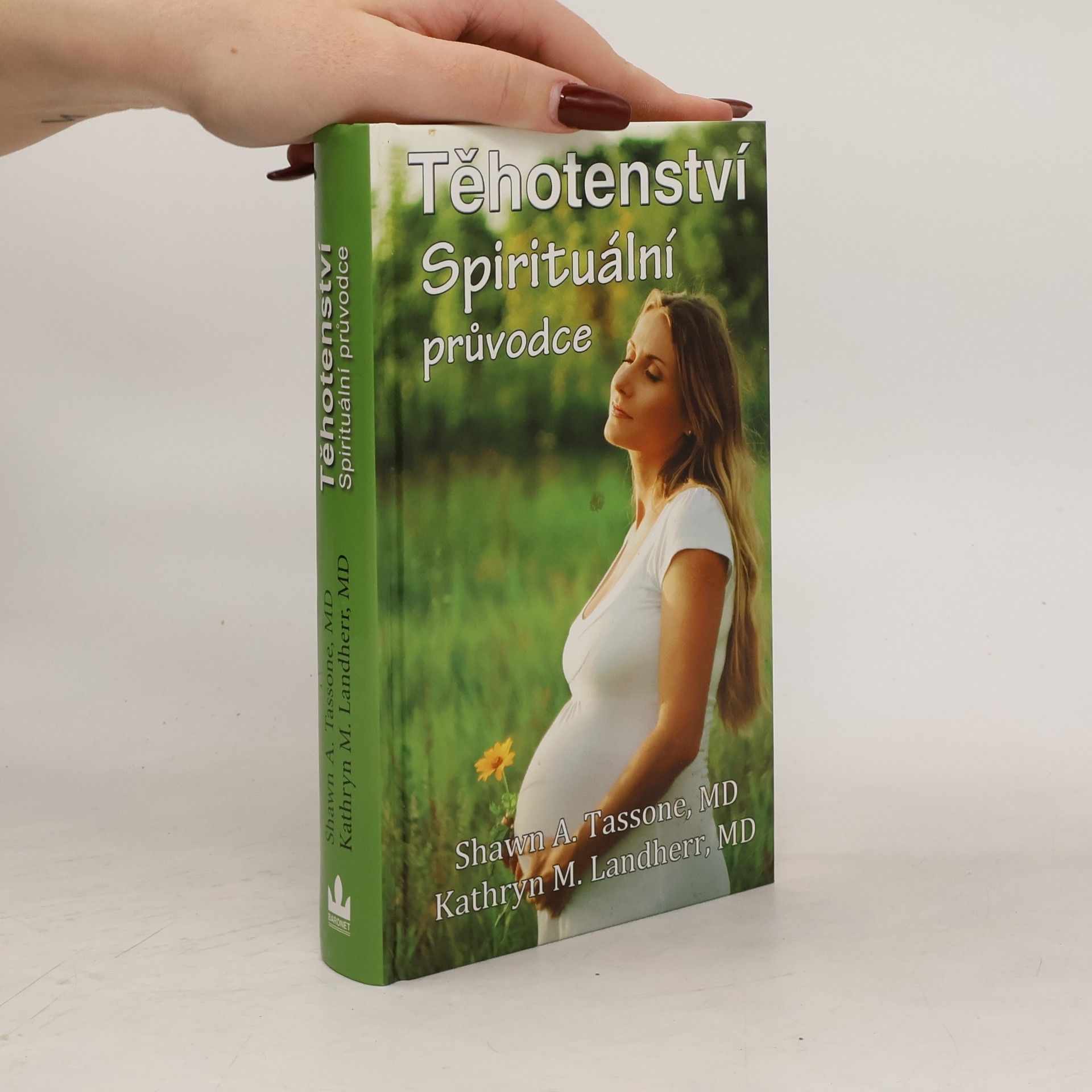 Shawn A. Tassone Těhotenství. Spirituální průvodce