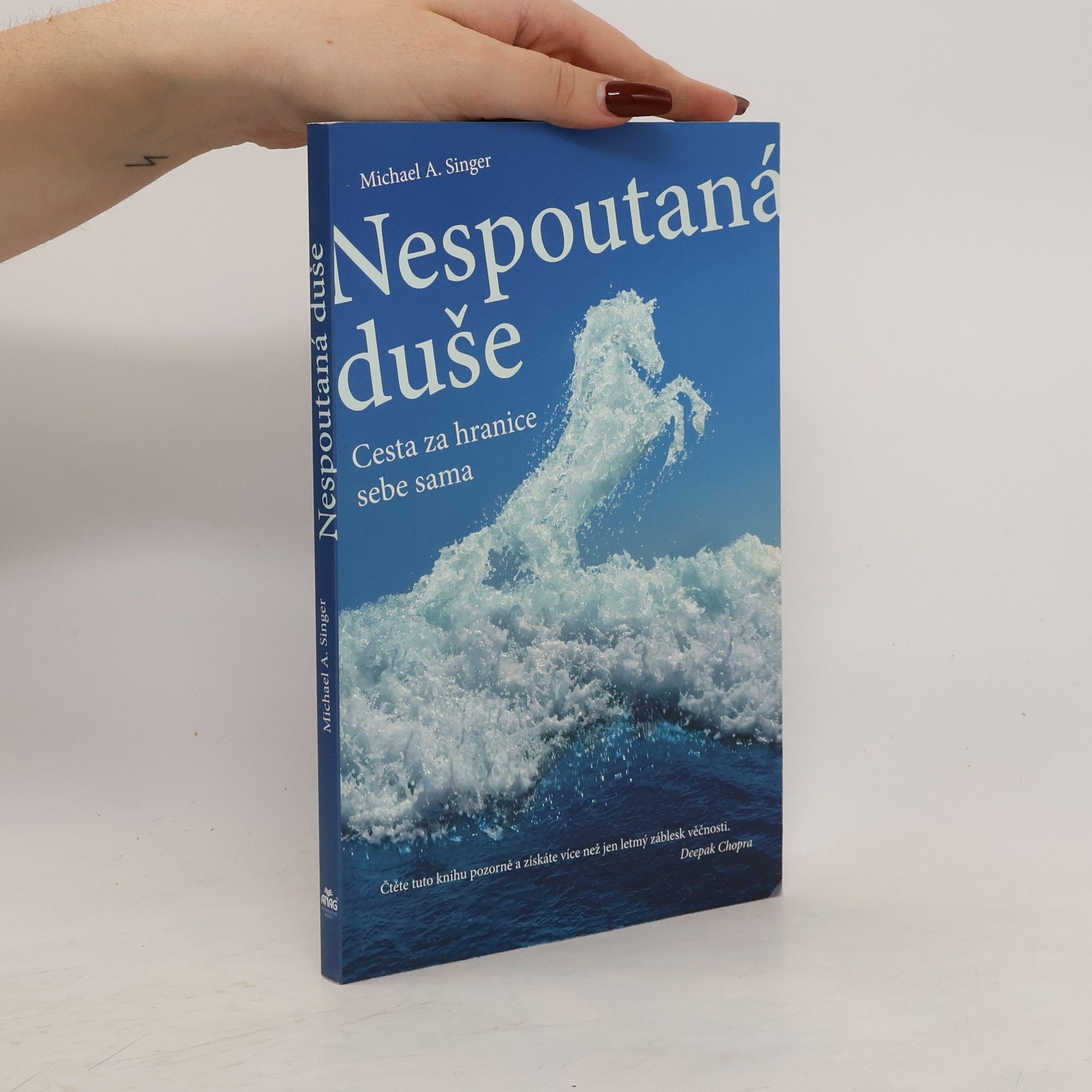 Michael A. Singer Nespoutaná duše