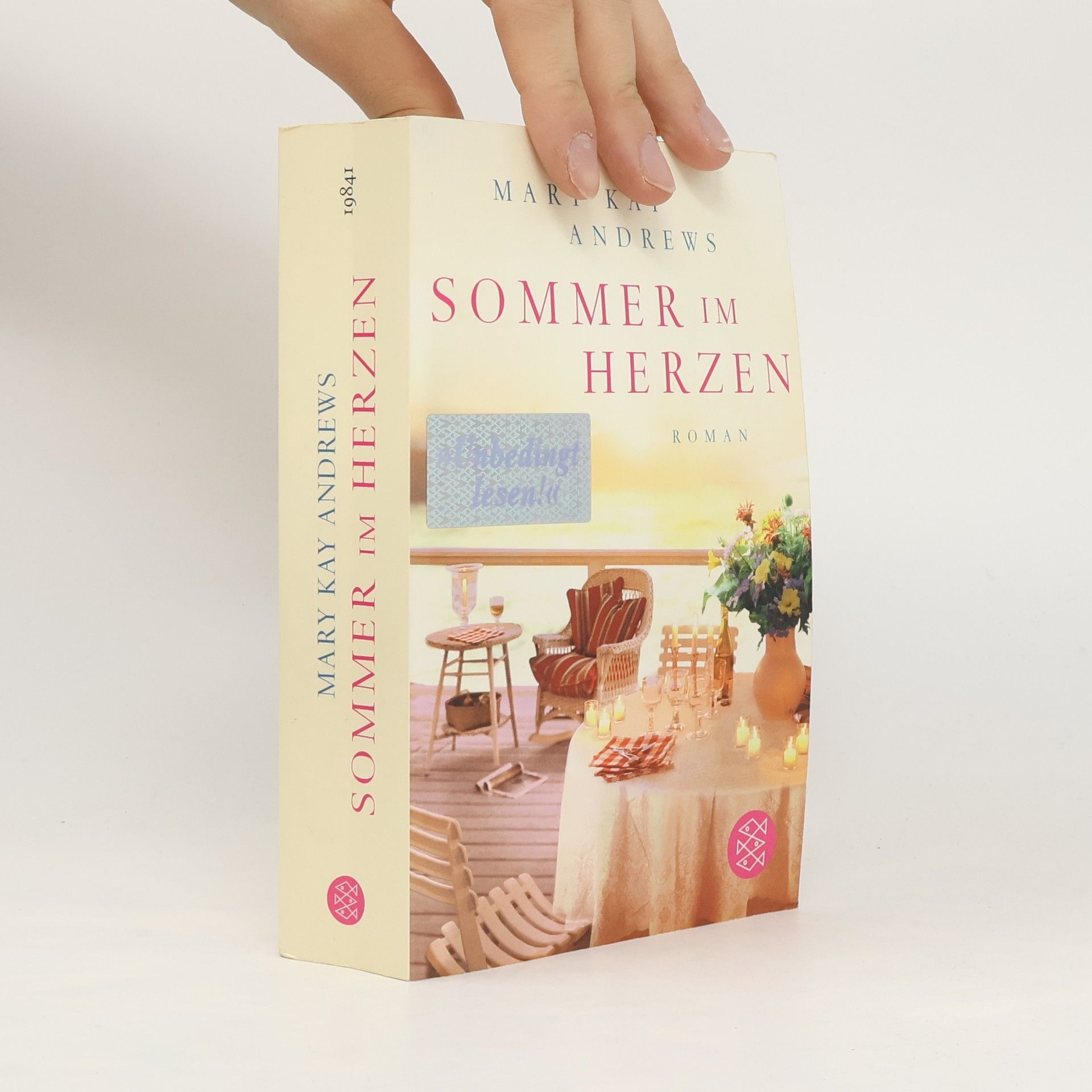 Mary Kay Andrews Sommer im Herzen