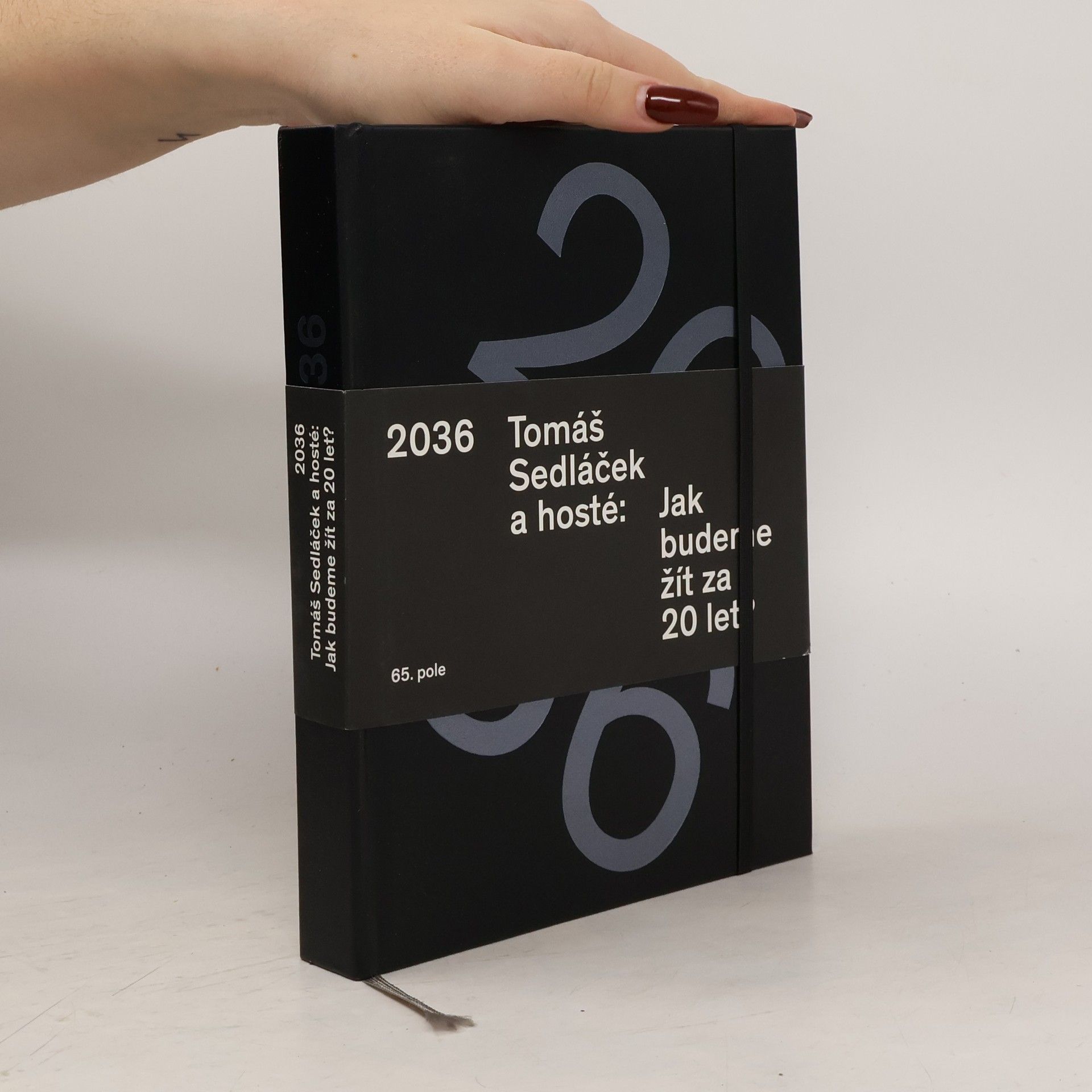 Tomáš Sedláček 2036. Jak budeme žít za 20 let?