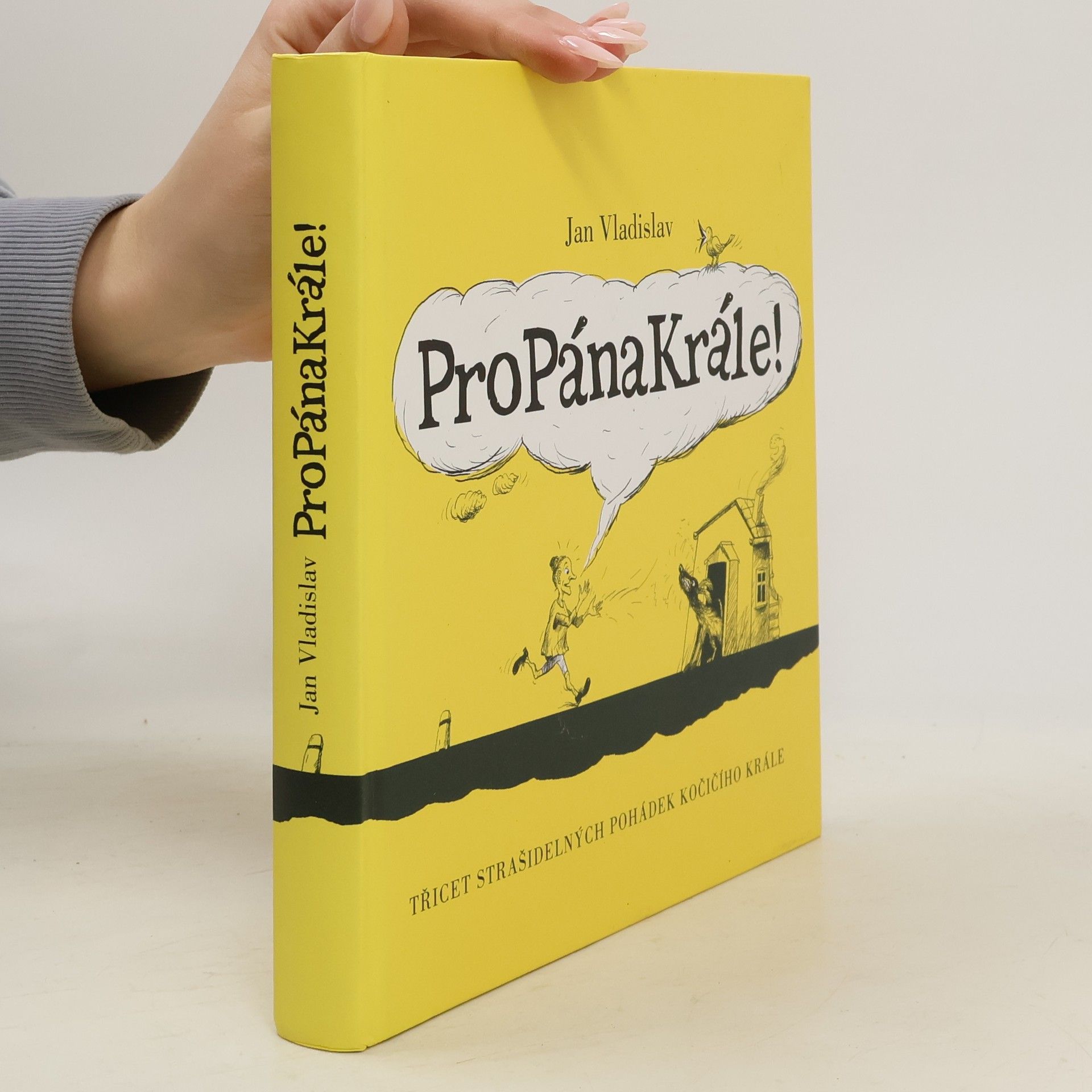 ProPánaKrále! : [třicet strašidelných pohádek kočičího krále]