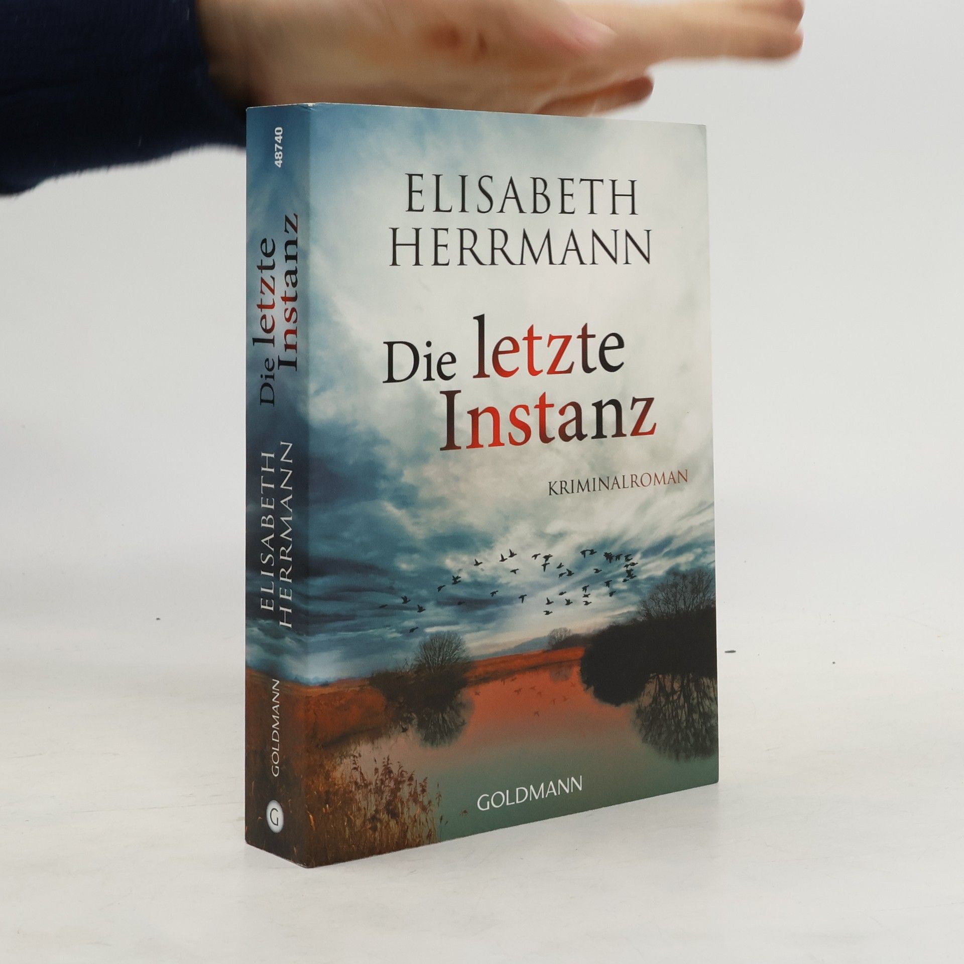 Elisabeth Hermann Die letzte Instanz