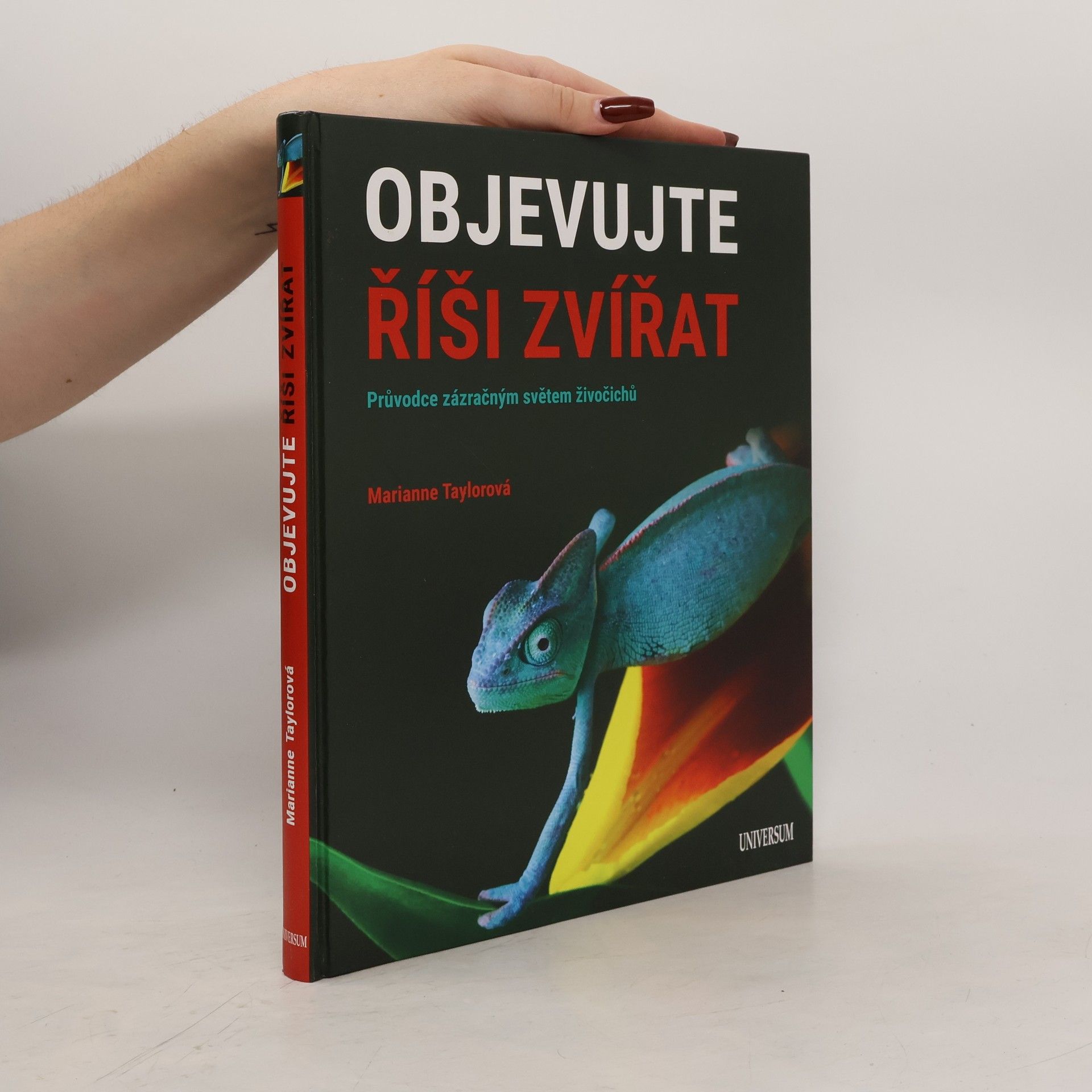 Marianne Taylor Objevujte říši zvířat. Průvodce zázračným světem živočichů