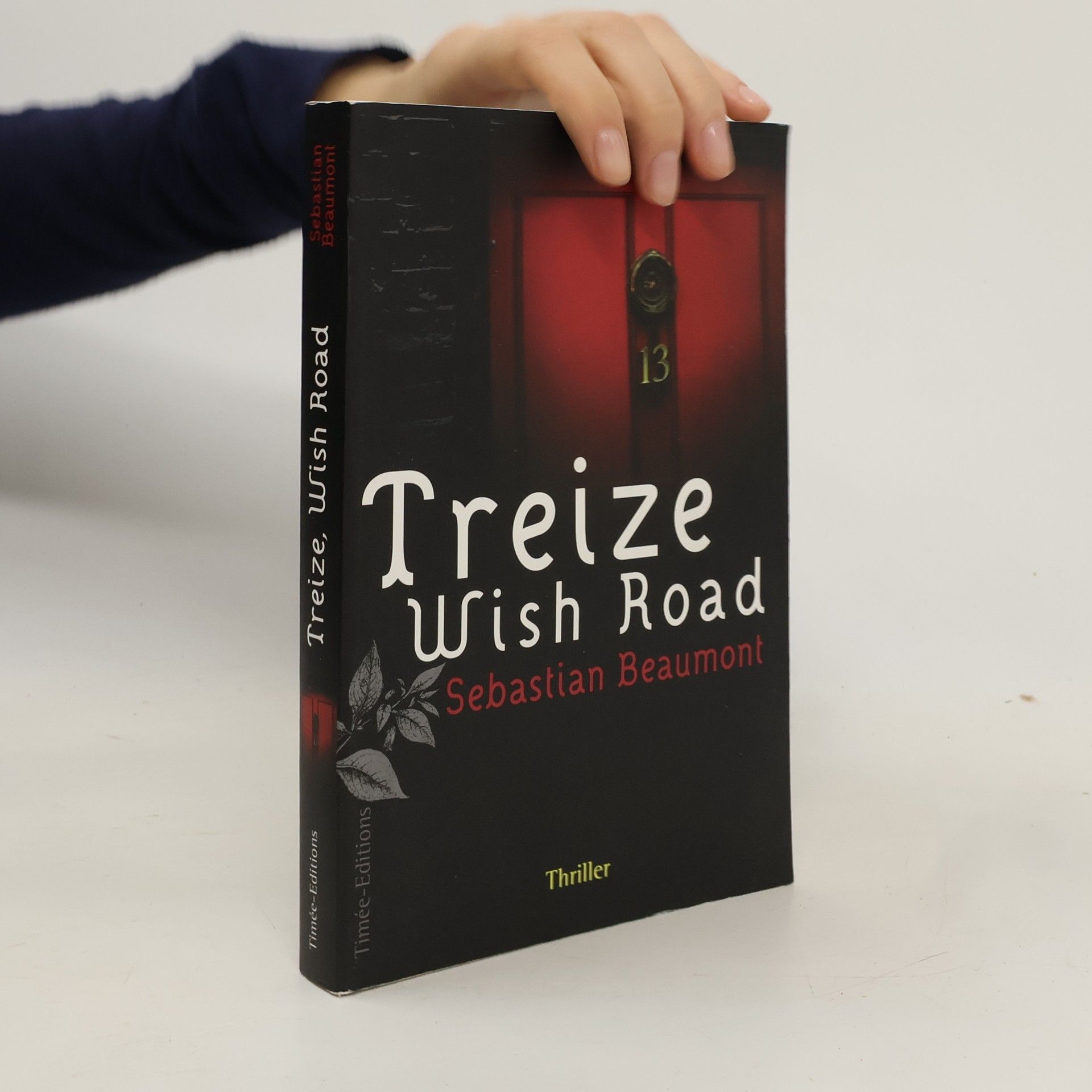 Sébastien Beaumont Treize Wish Road