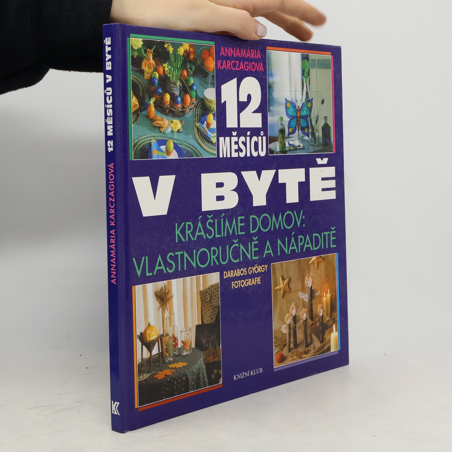 12 měsíců v bytě : krášlíme domov vlastnoručně a nápaditě