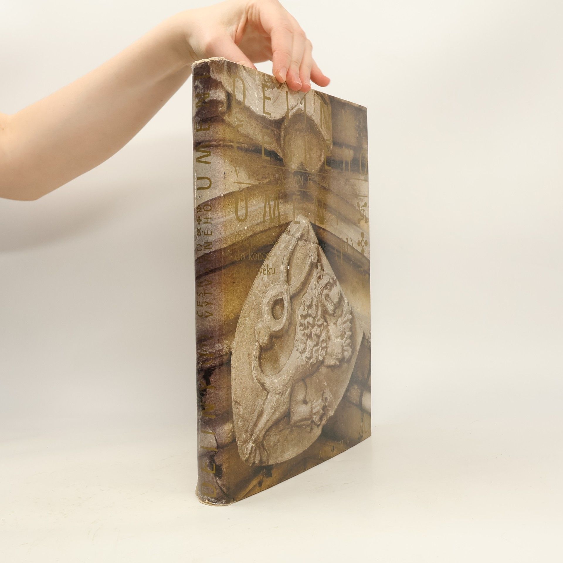 Kolektiv autorů Dějiny českého výtvarného umění I/1