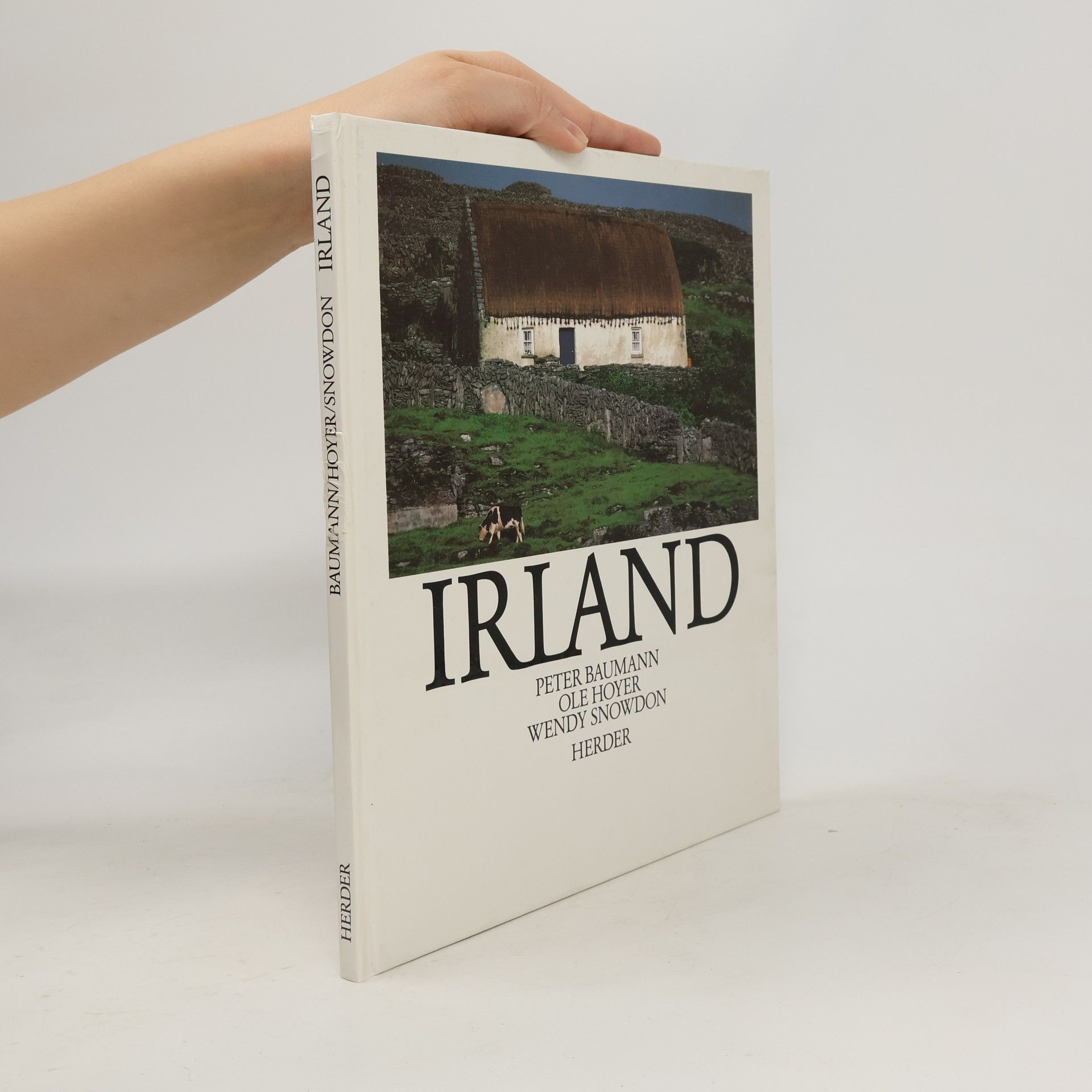 Peter Baumann Irland