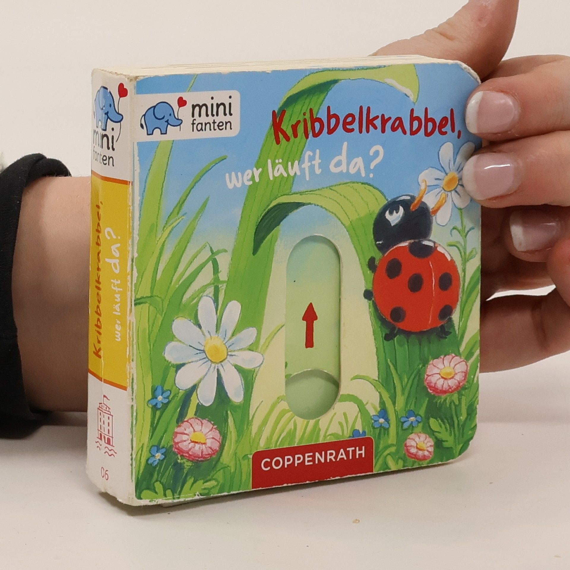 Antje Flad Minifanten - 6: Kribbelkrabbel, wer läuft da?