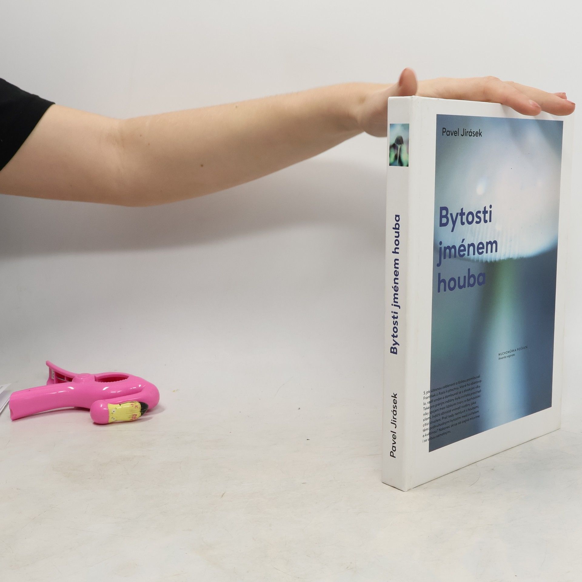 Bytosti jménem houba