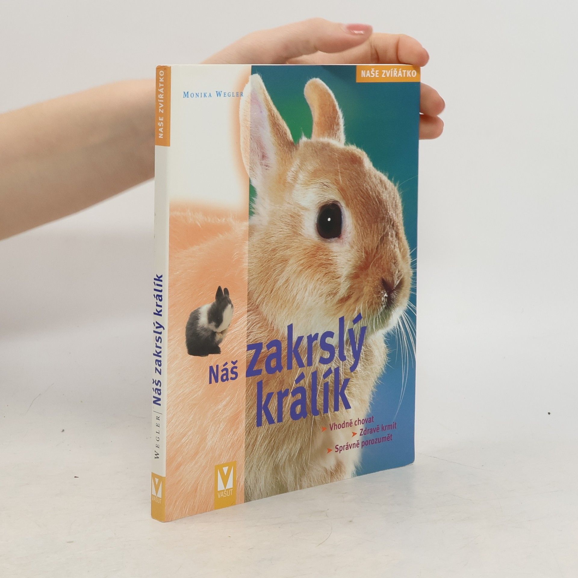 Náš zakrslý králík