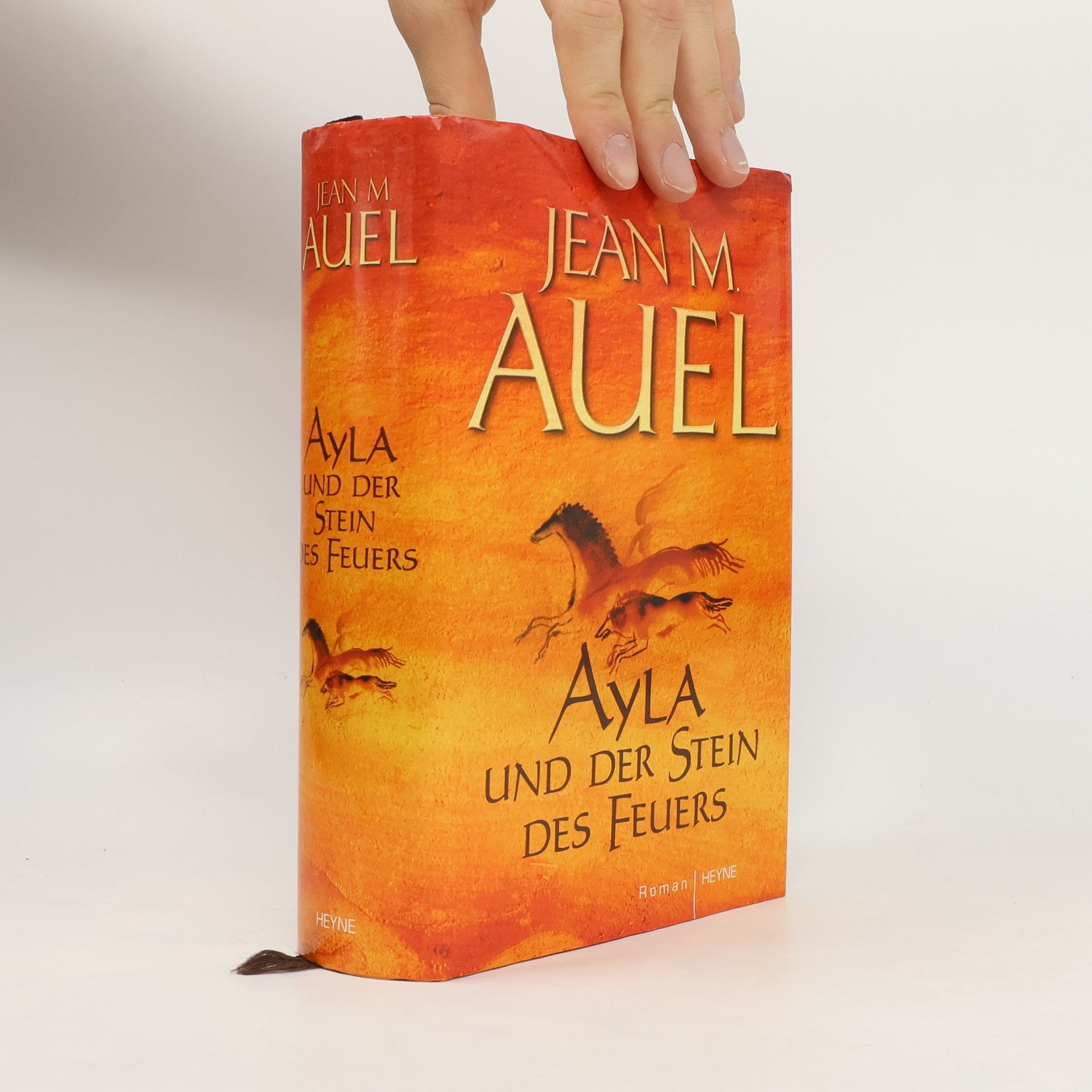 Ayla und der Stein des Feuers