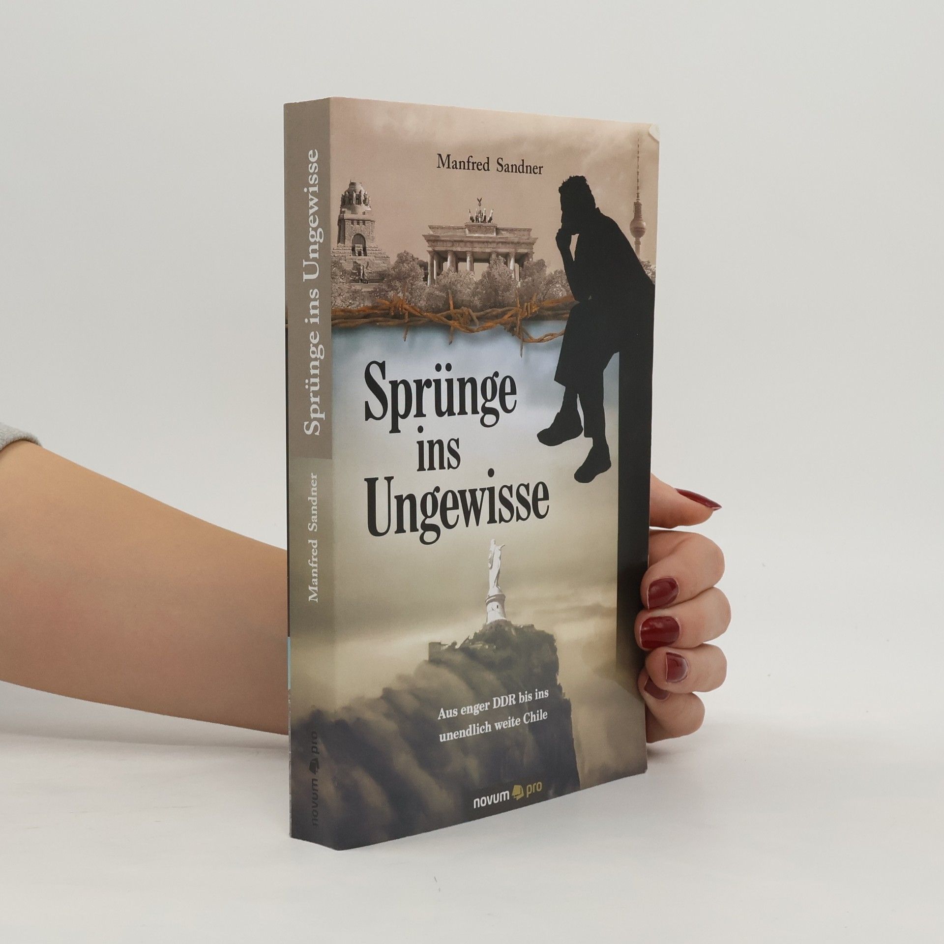 Manfred Sandner Sprünge ins Ungewisse