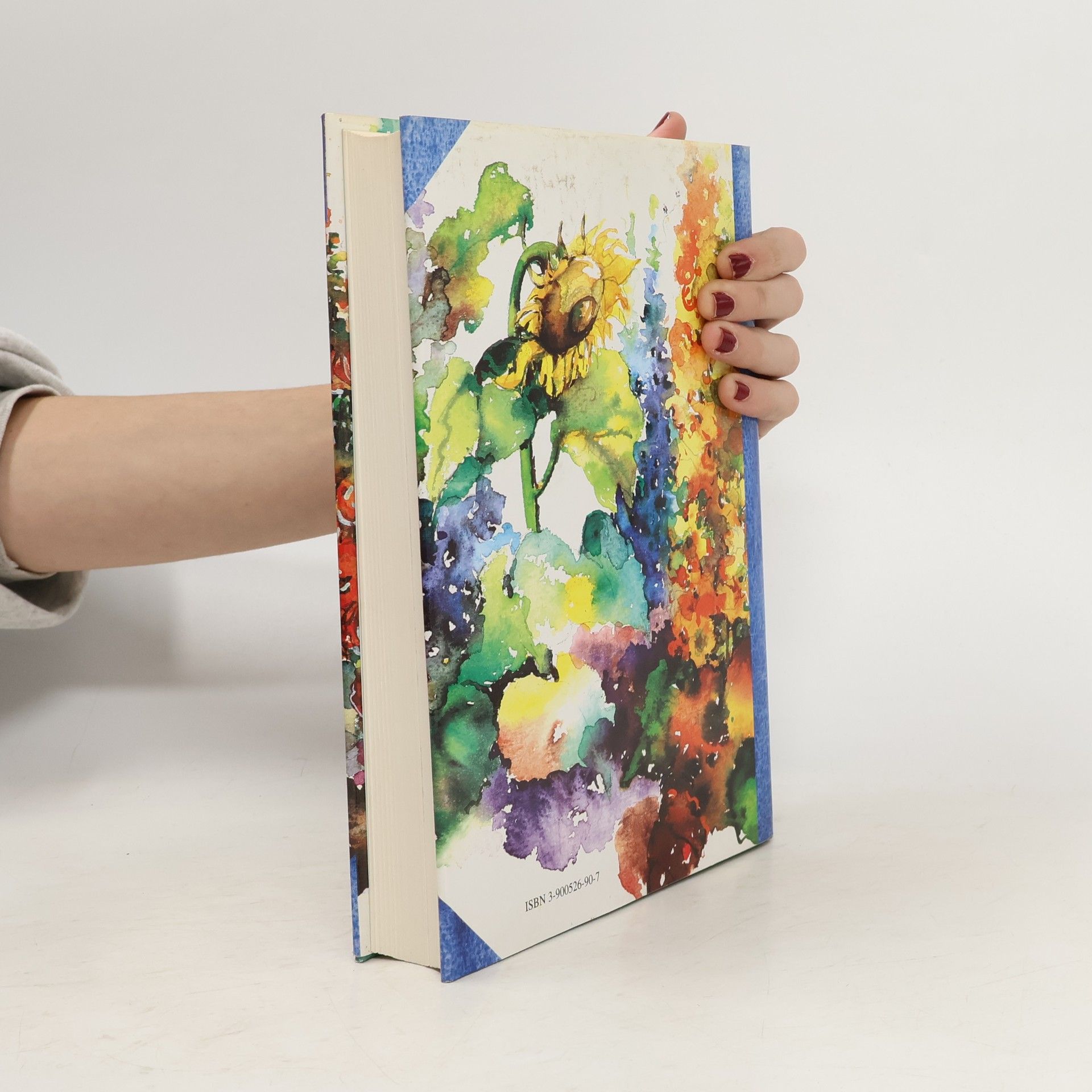 kolektiv Das große steirische Hausbuch