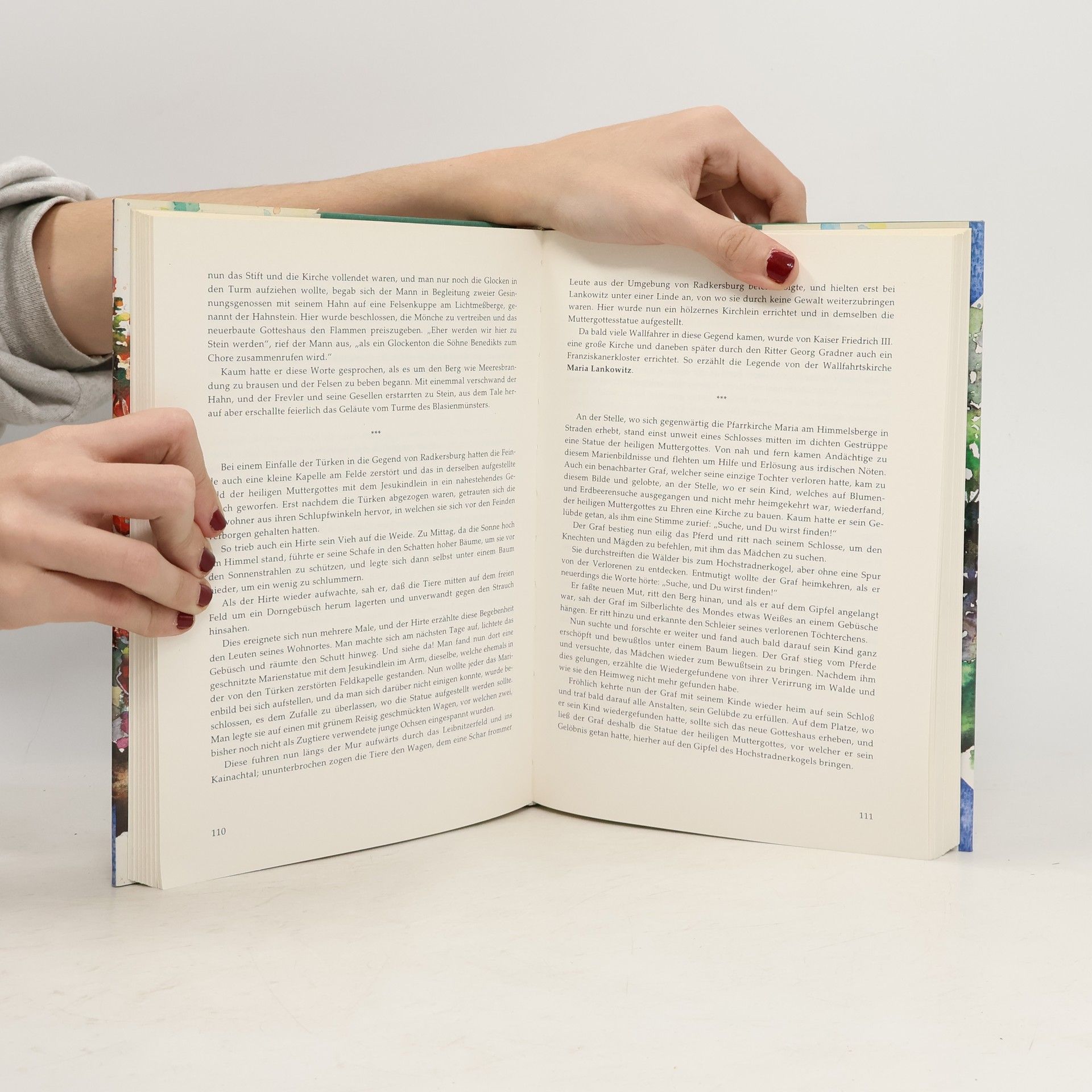 kolektiv Das große steirische Hausbuch