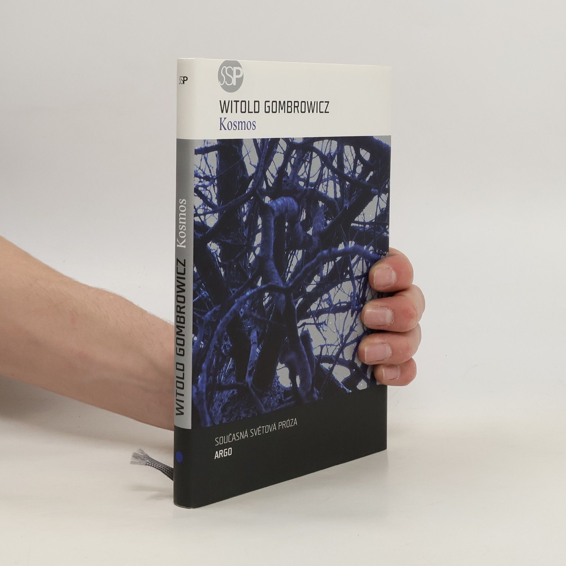 Witold Gombrowicz Kosmos