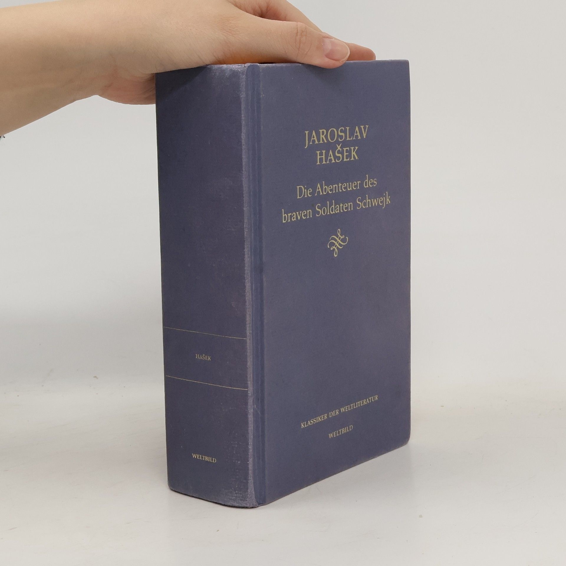 Jaroslav Hašek Die Abenteuer des raven Soldaten Schwejk
