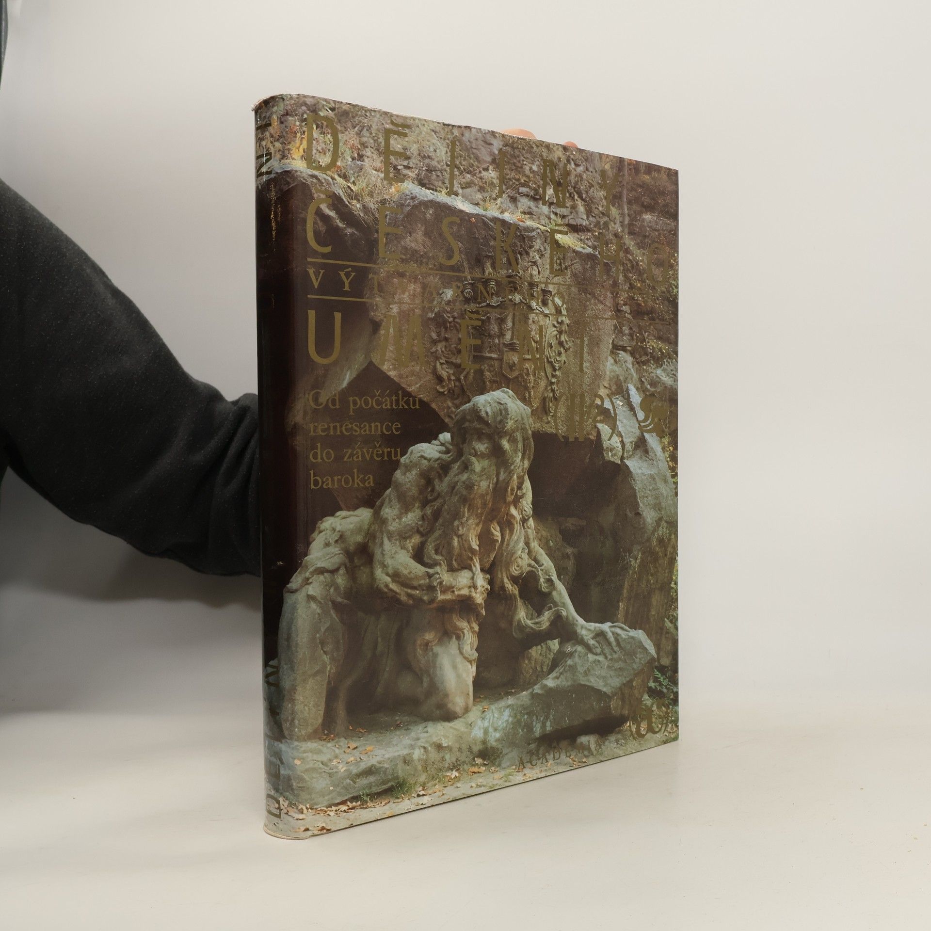 Jiří Dvorský Dějiny českého výtvarného umění II/2