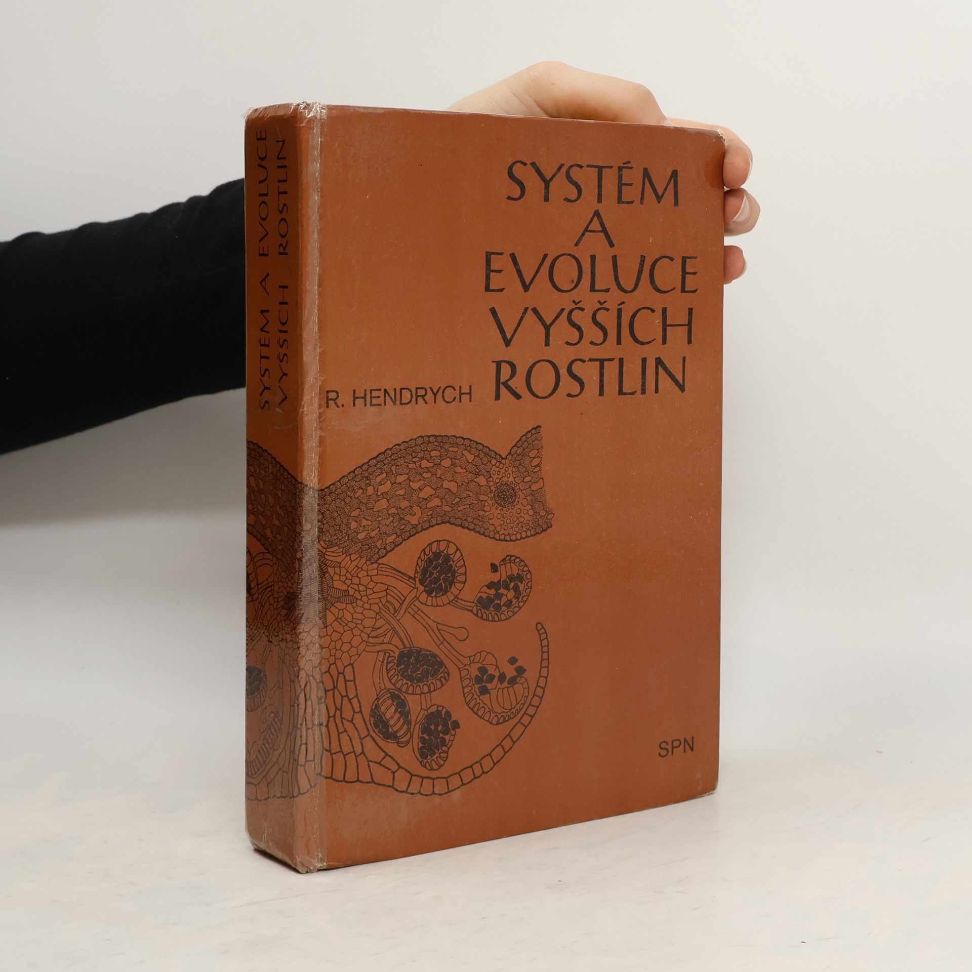 Radovan Hendrych Systém a evoluce vyšších rostlin