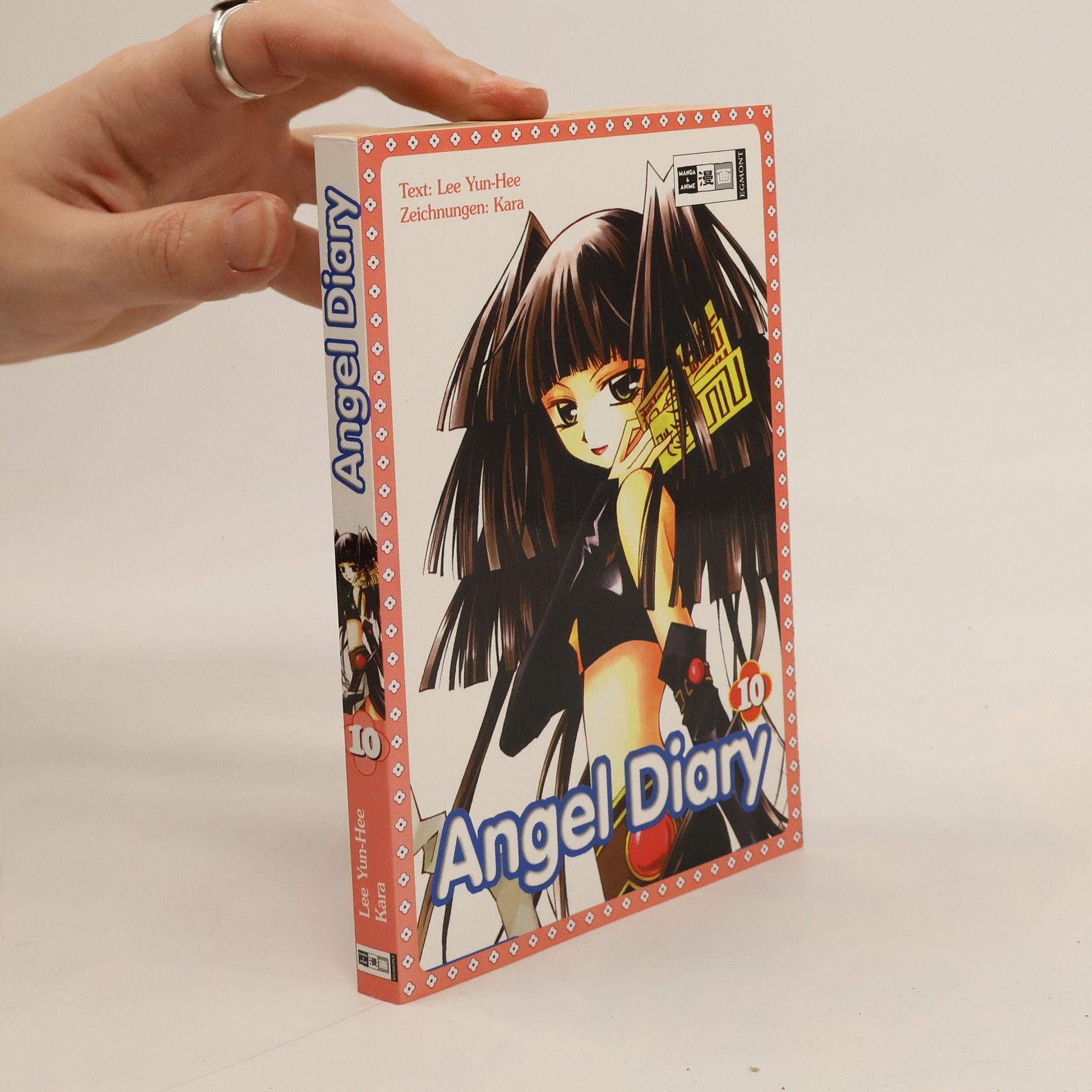 Yun-Hee Lee Angel diary 10