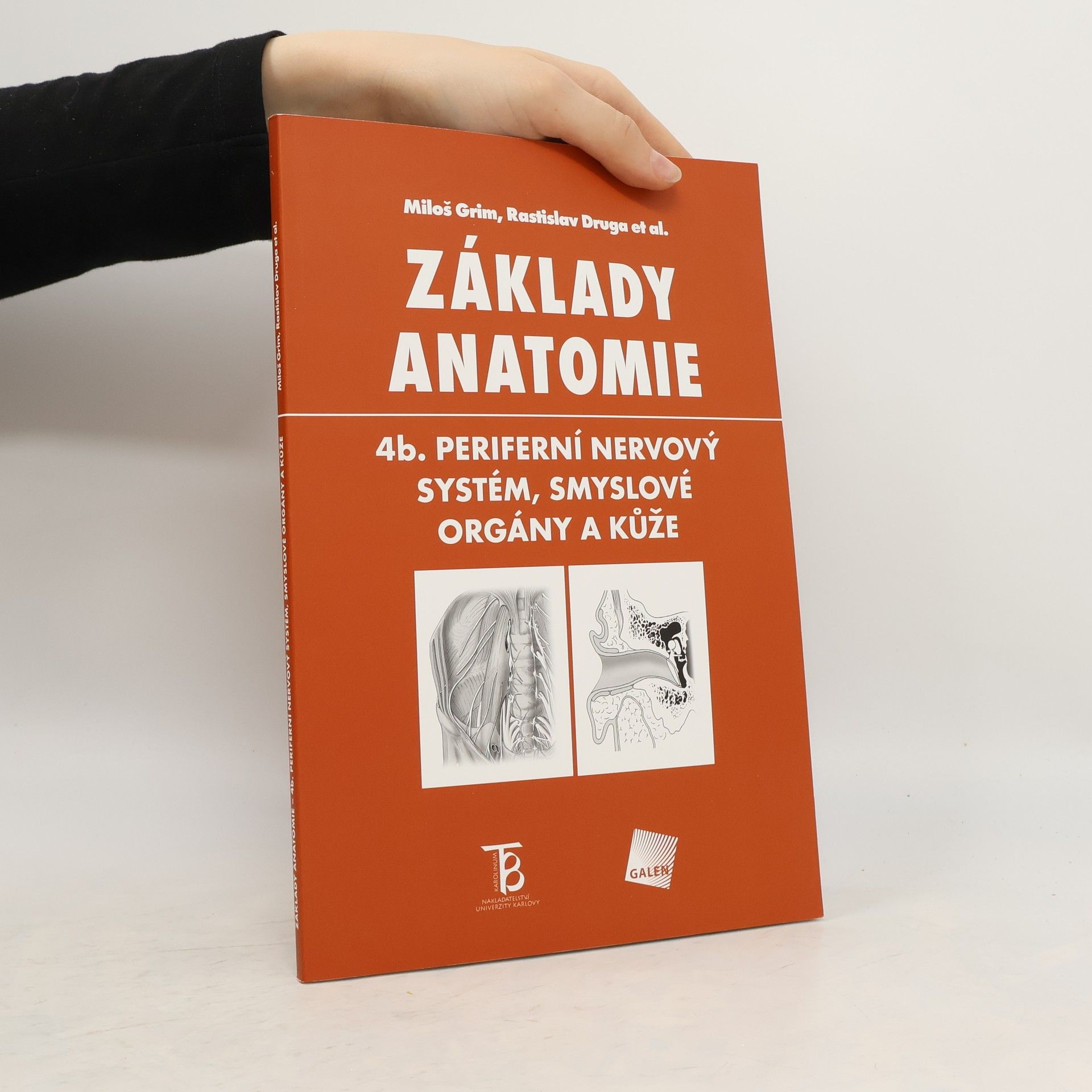 Základy anatomie. 4b., Periferní nervový systém, smyslové orgány a kůže