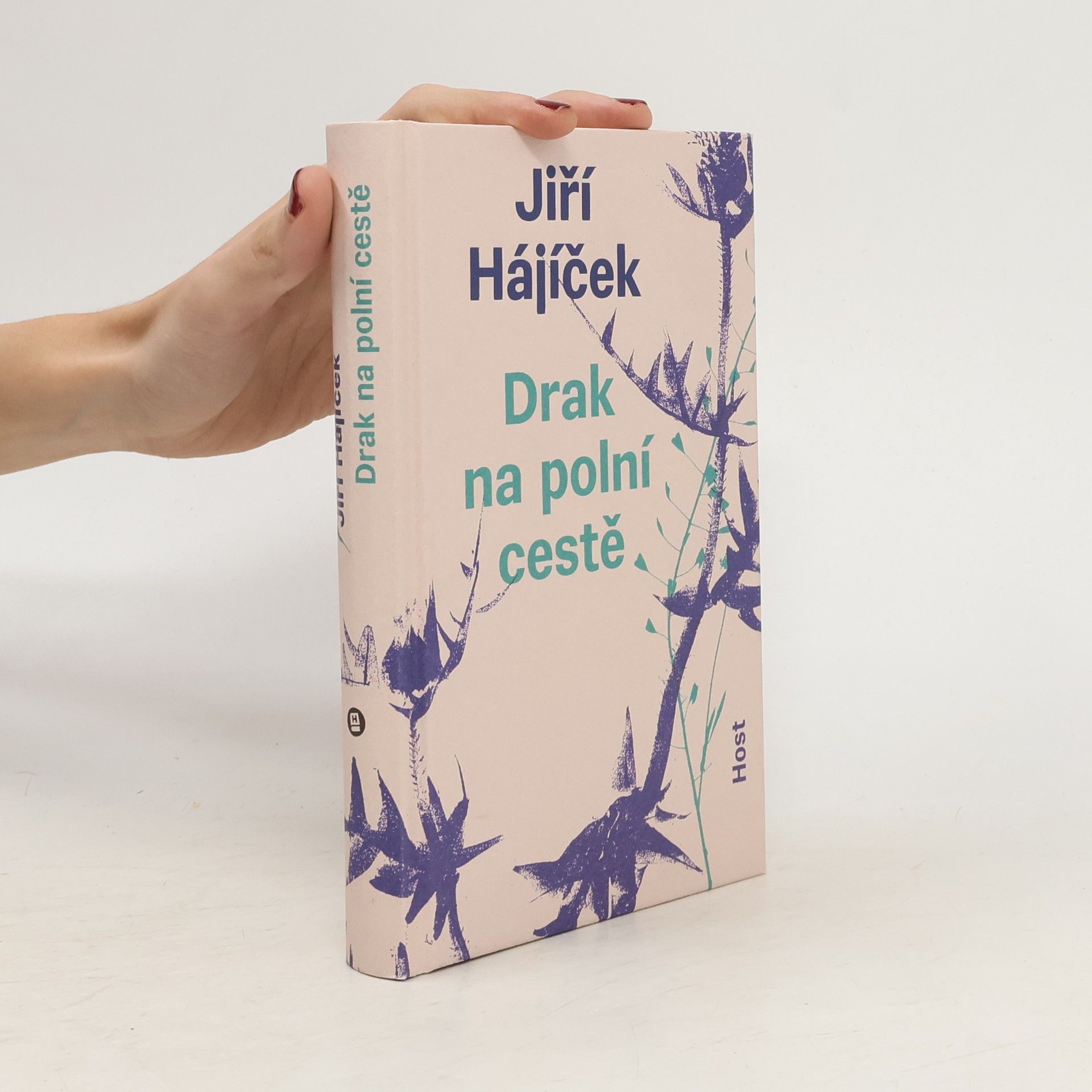 Drak na polní cestě