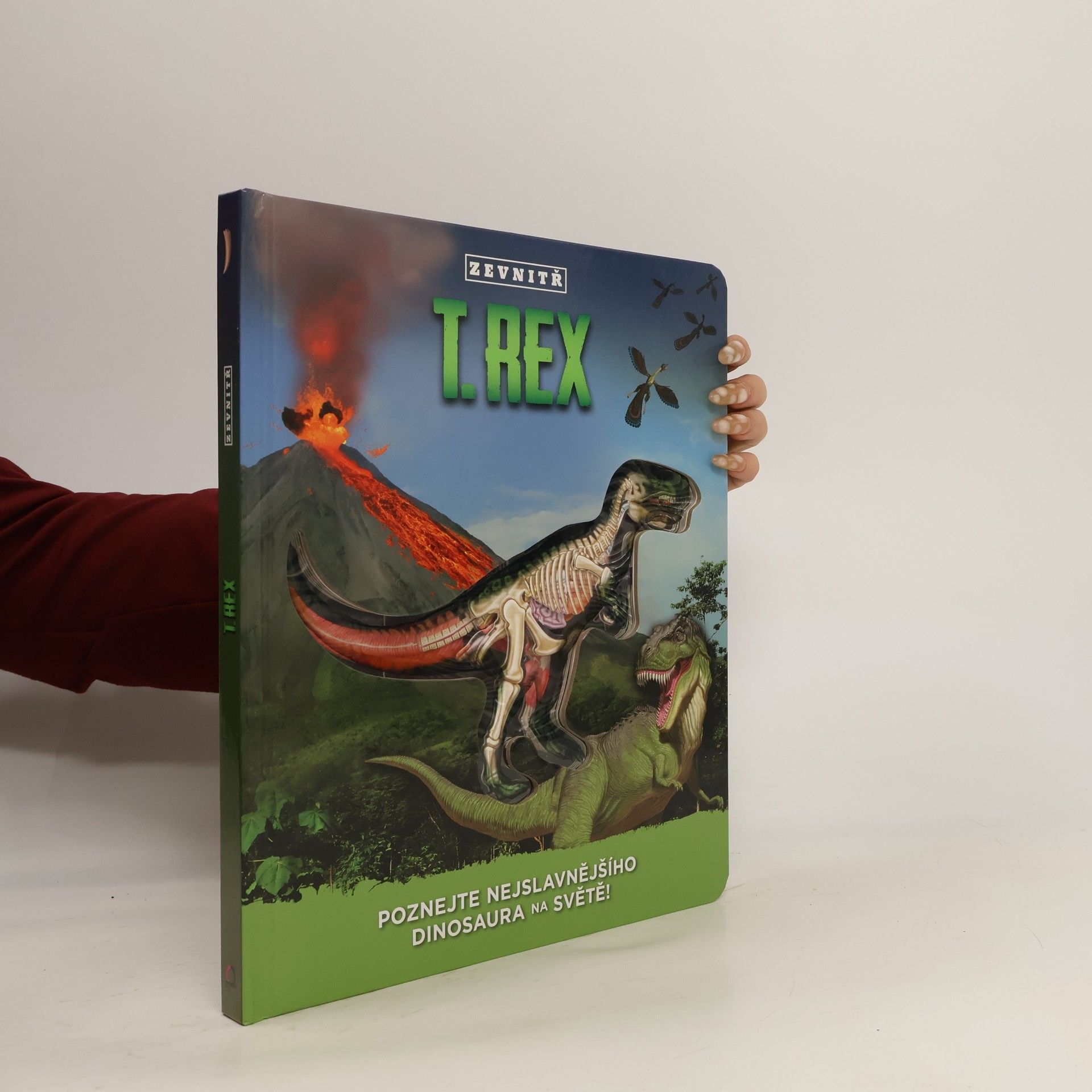 Dennis Schatz T-Rex zevnitř: Poznej nejslavnějšího dinosaura na světě!