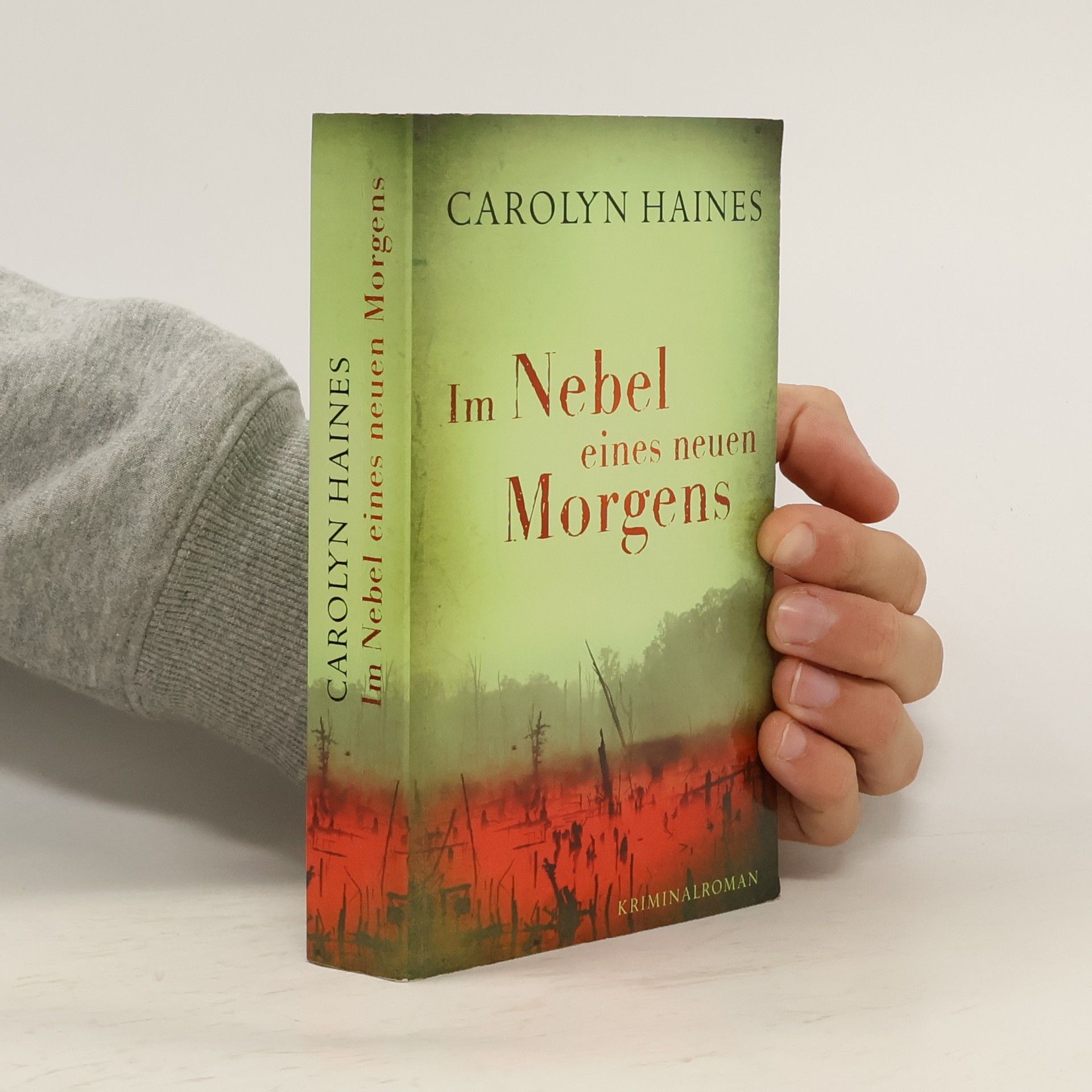 Carolyn Haines Im Nebel eines neuen Morgens