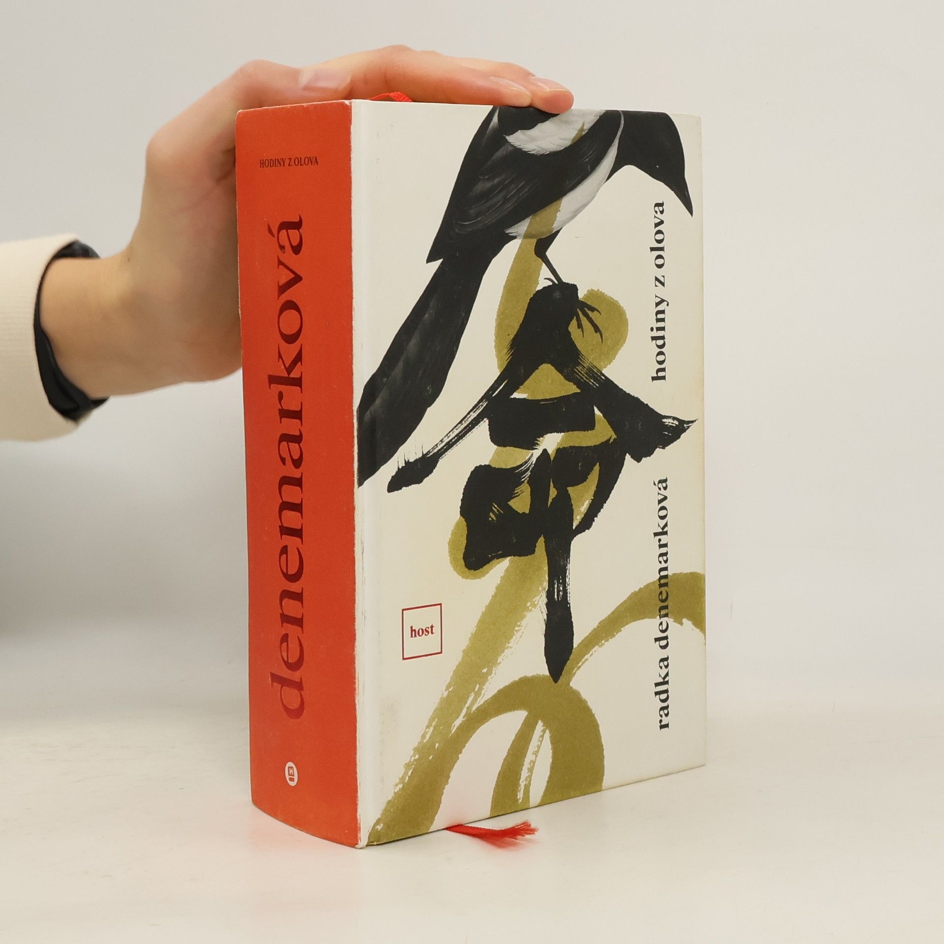 Radka Denemarková Hodiny z olova