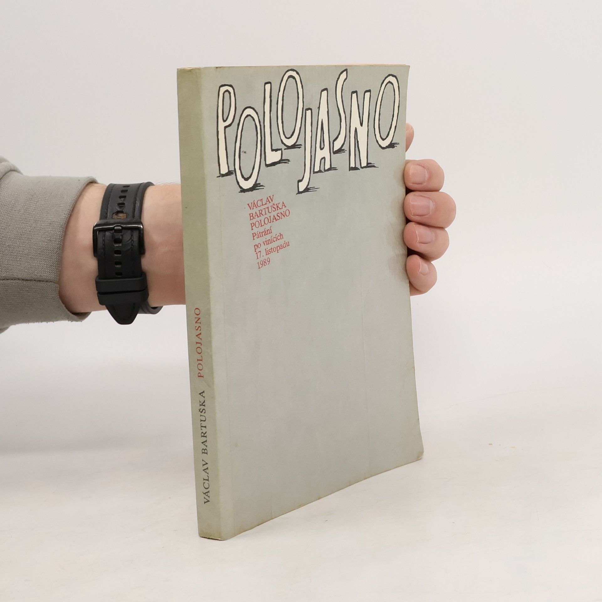 Václav Bartuška Polojasno