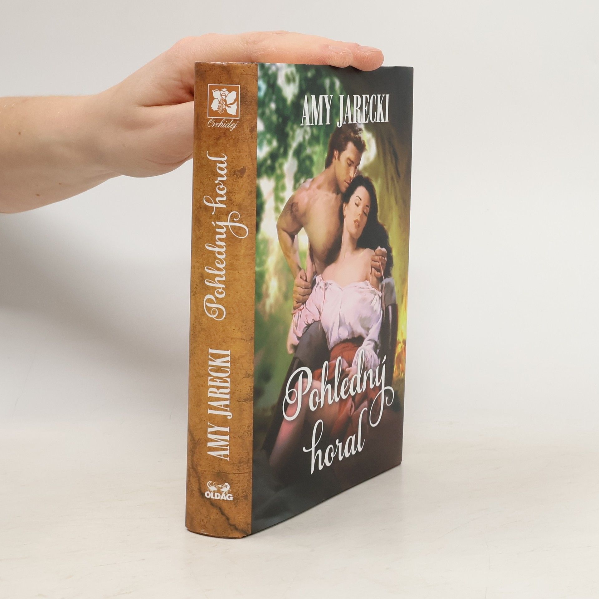 Amy Jarecki Pohledný horal