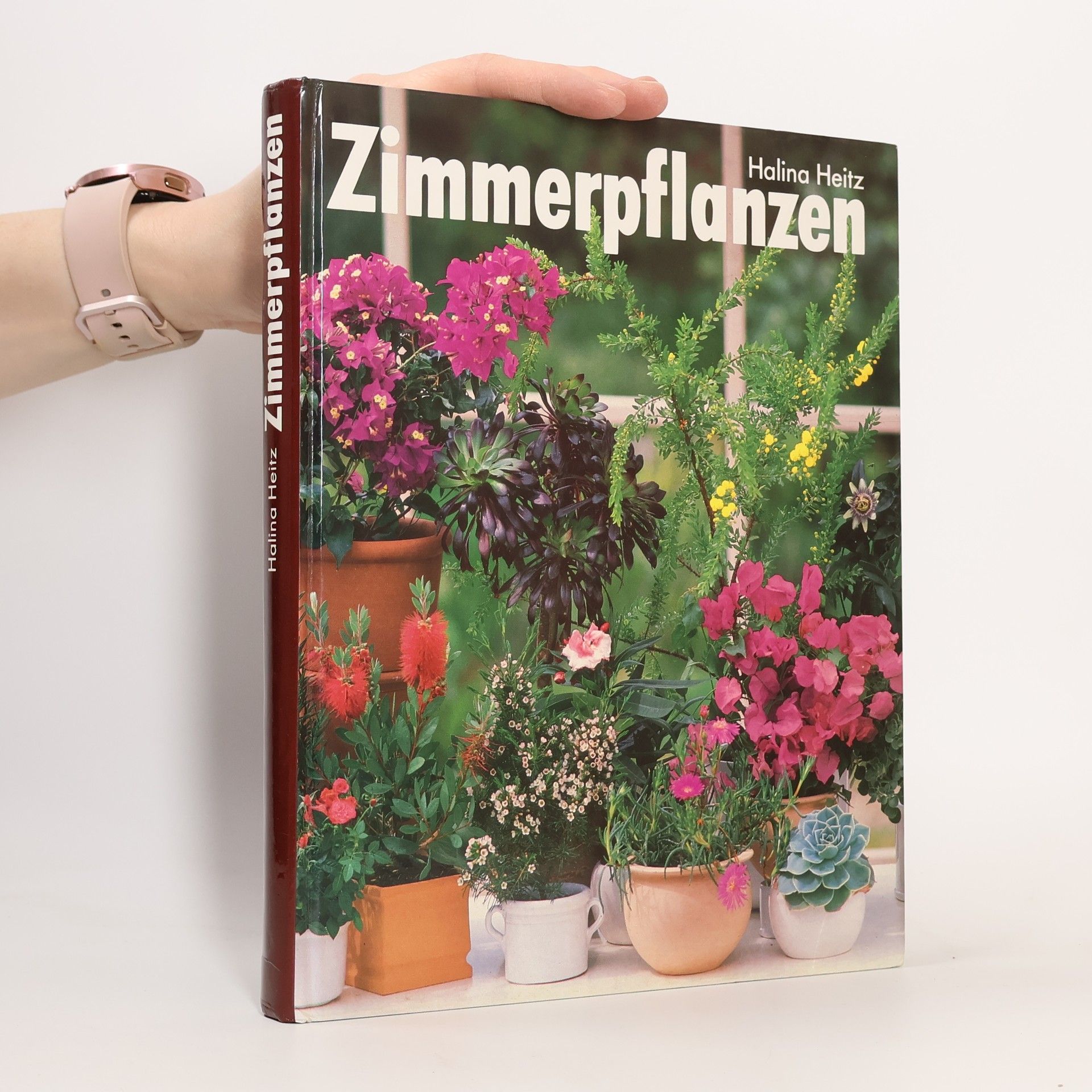 Halina Heitz Zimmerpflanzen