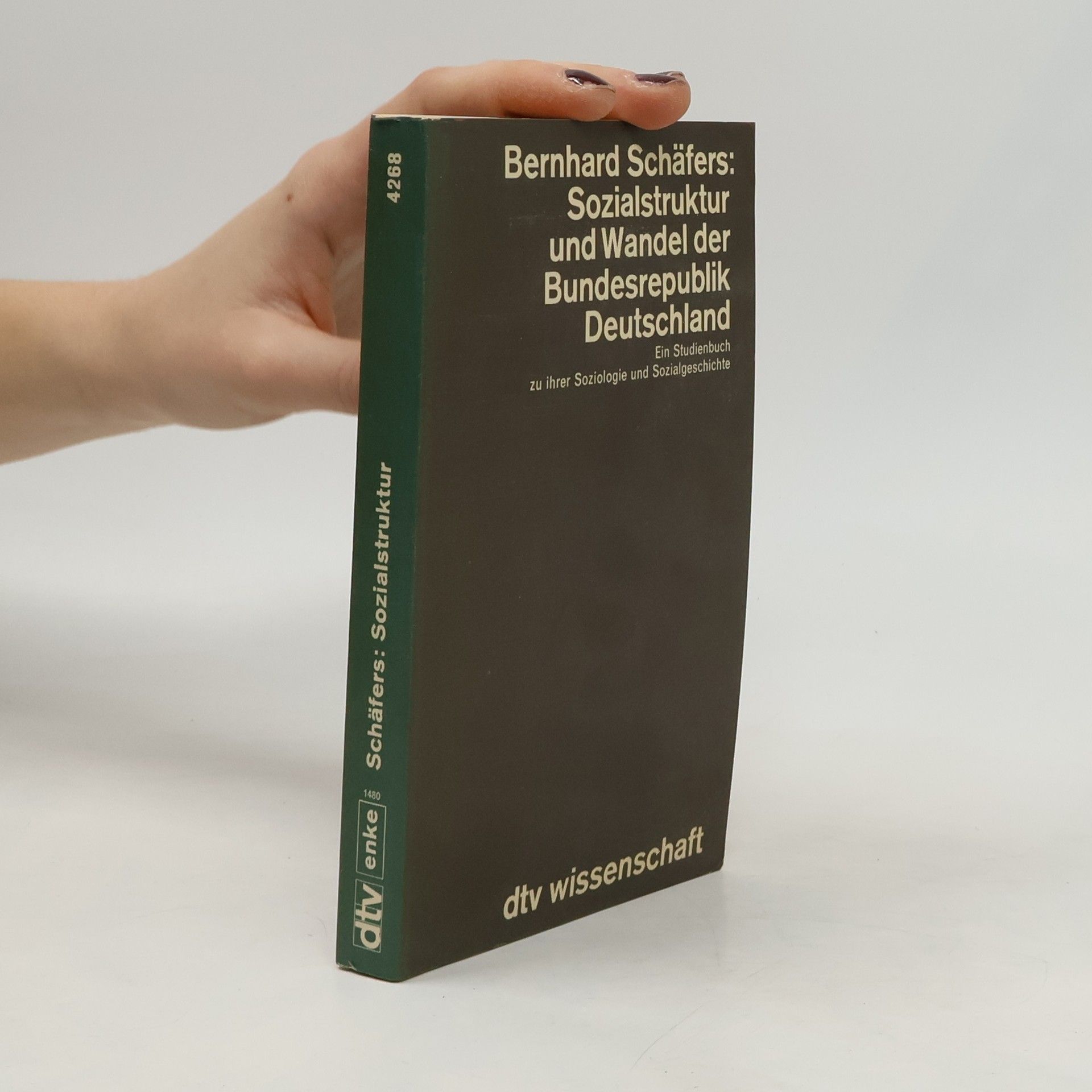 Bernhard Schäfers Sozialstruktur und Wandel der Bundesrepublik Deutschland