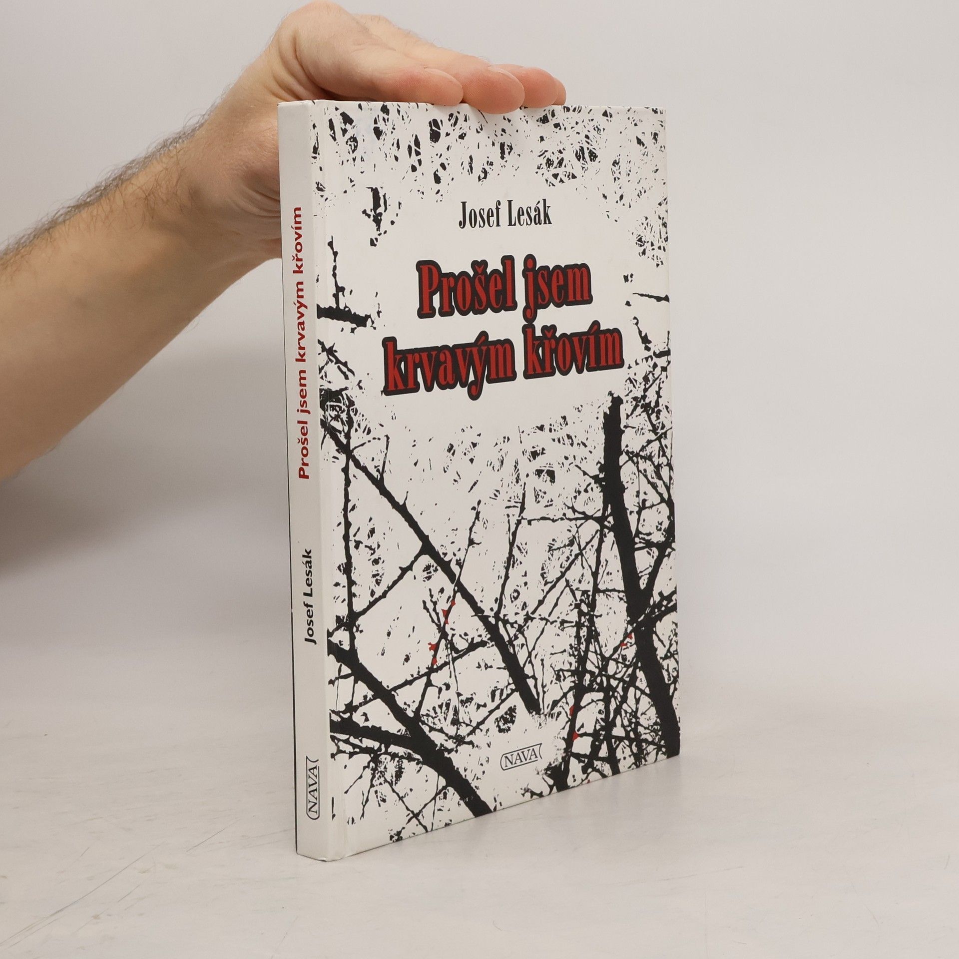 Prošel jsem krvavým křovím