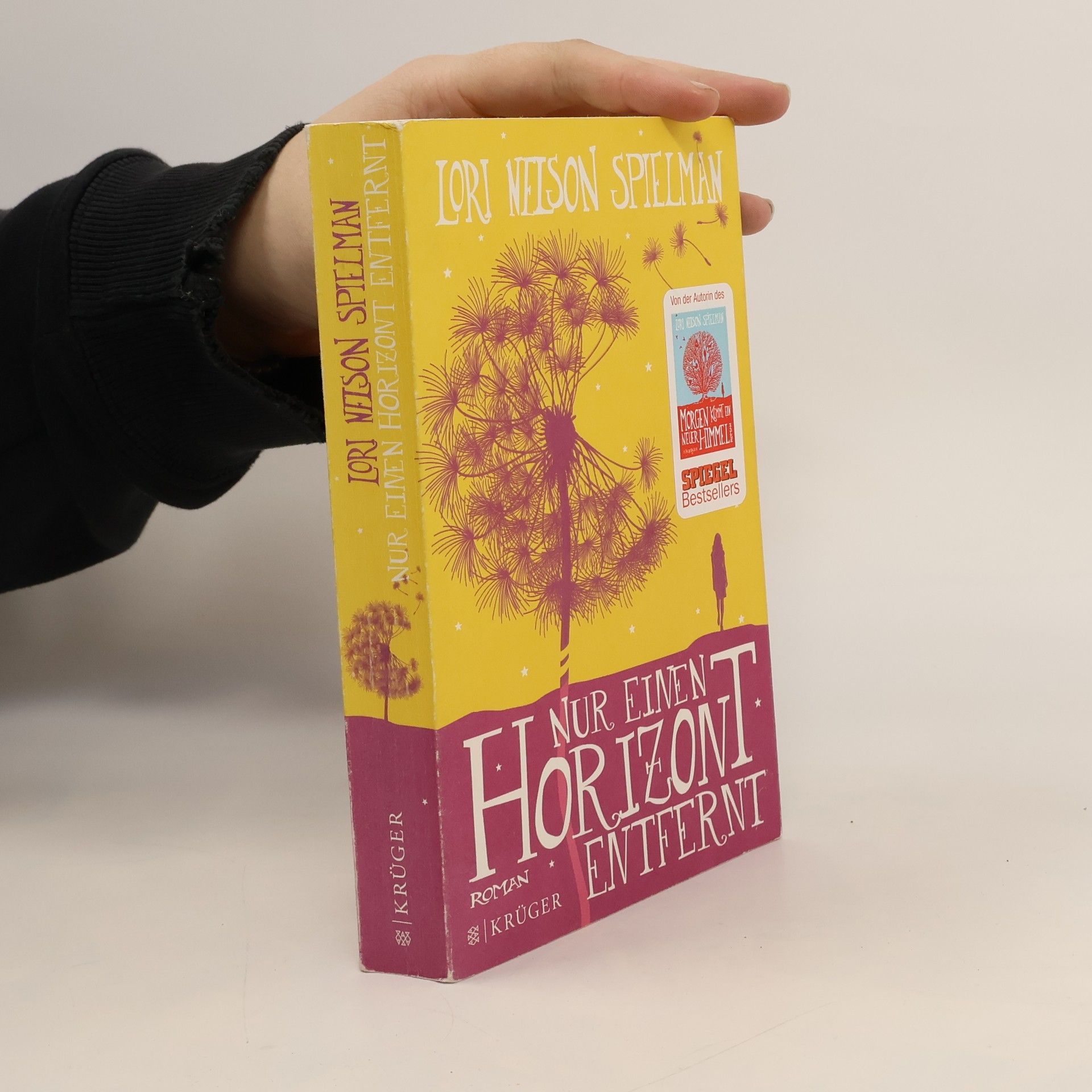 Lori Nelson Spielman Nur einen Horizont entfernt