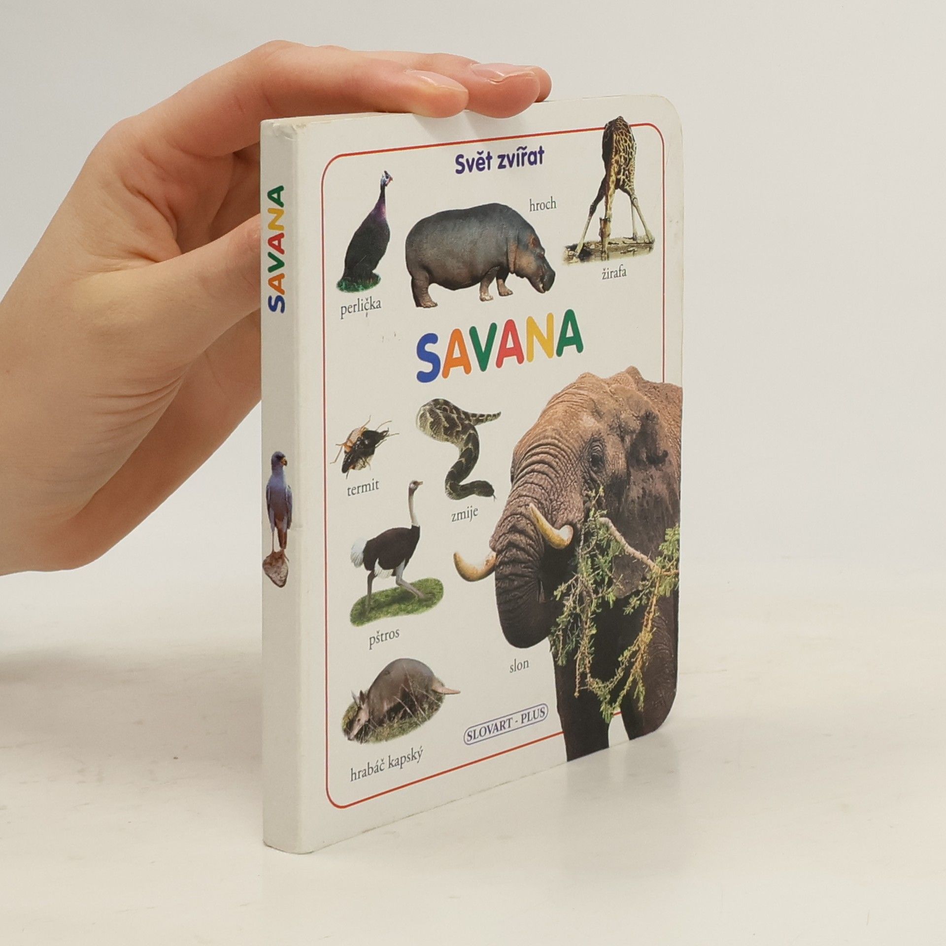 Autorenkollektiv Savana