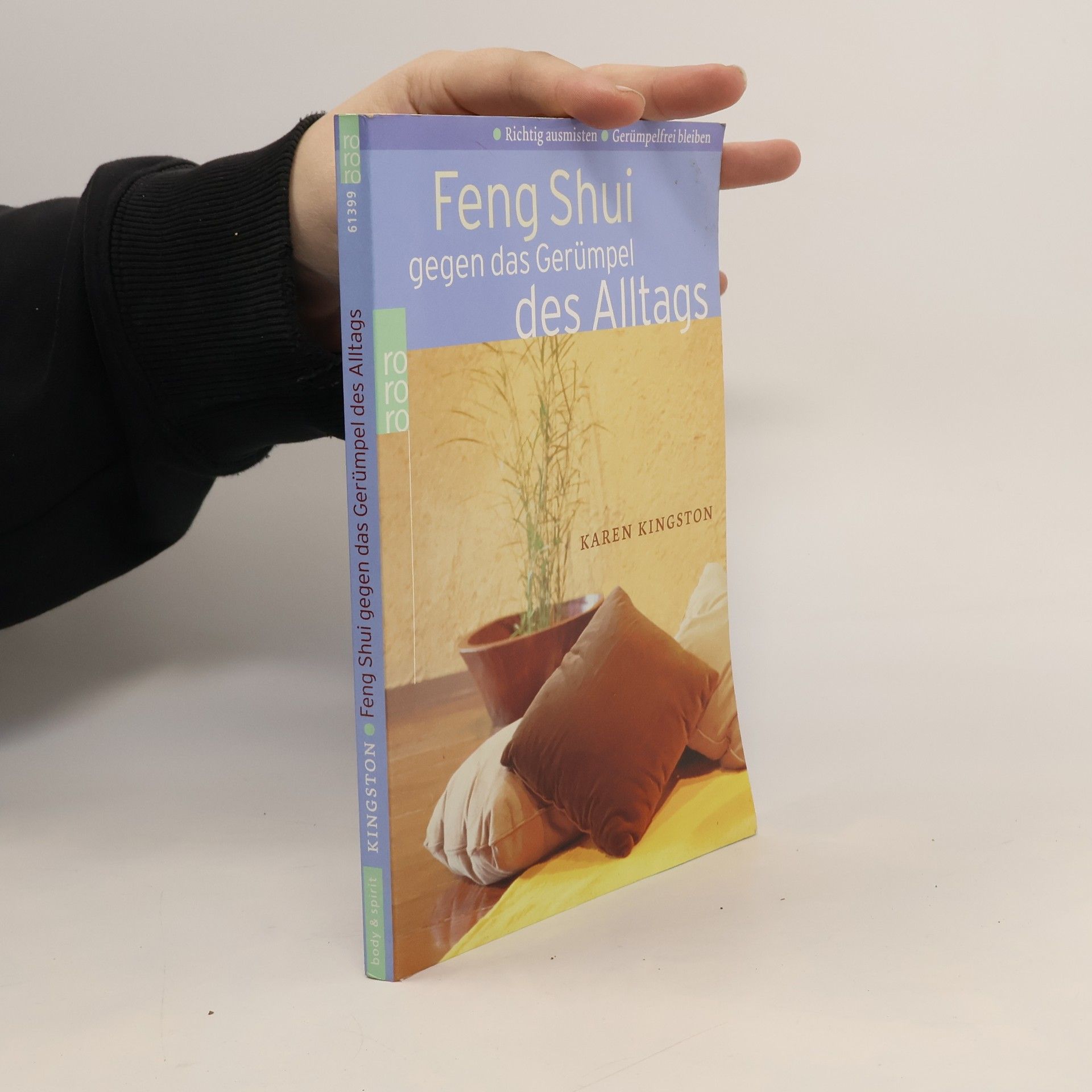 Karen Kingston Feng shui