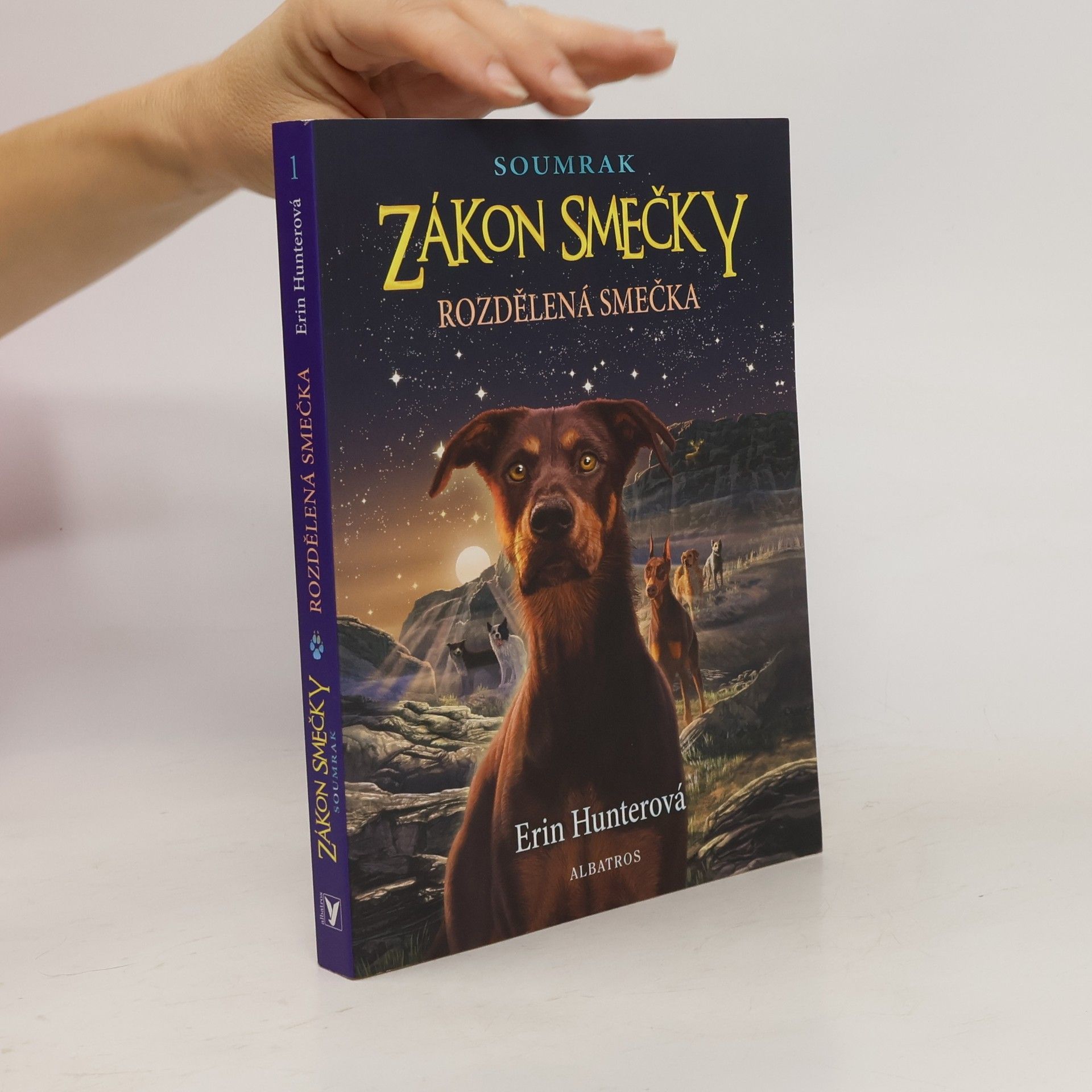 Erin Hunter Rozdělená smečka