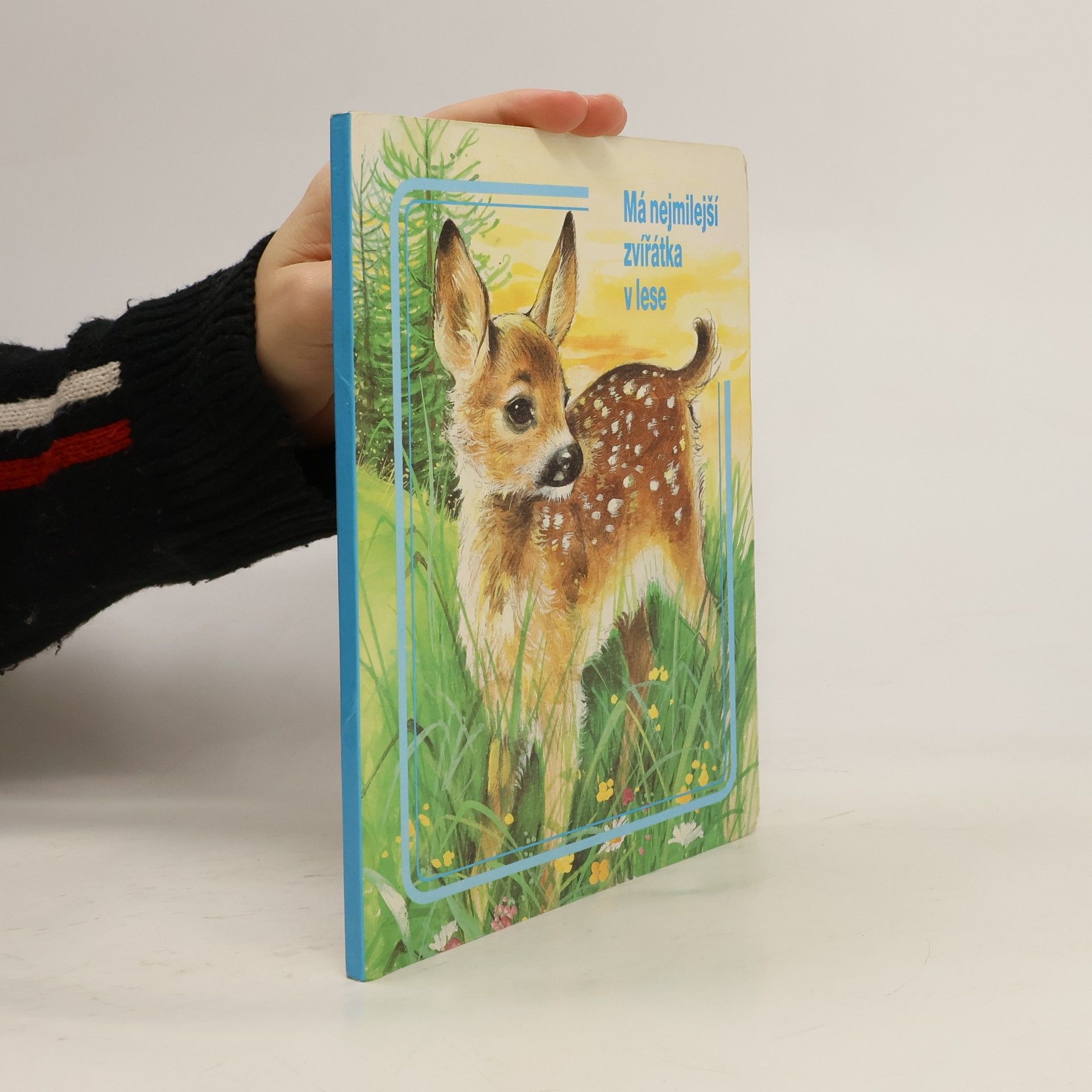 Ch. Dauvister Má nejmilejší zvířátka v lese