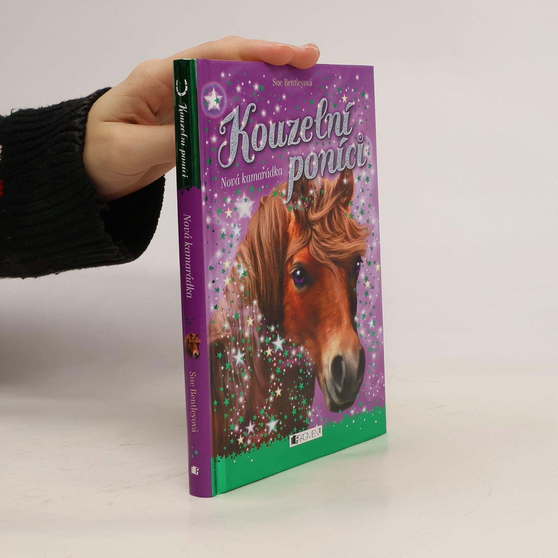 Sue Bentley Nová kamarádka