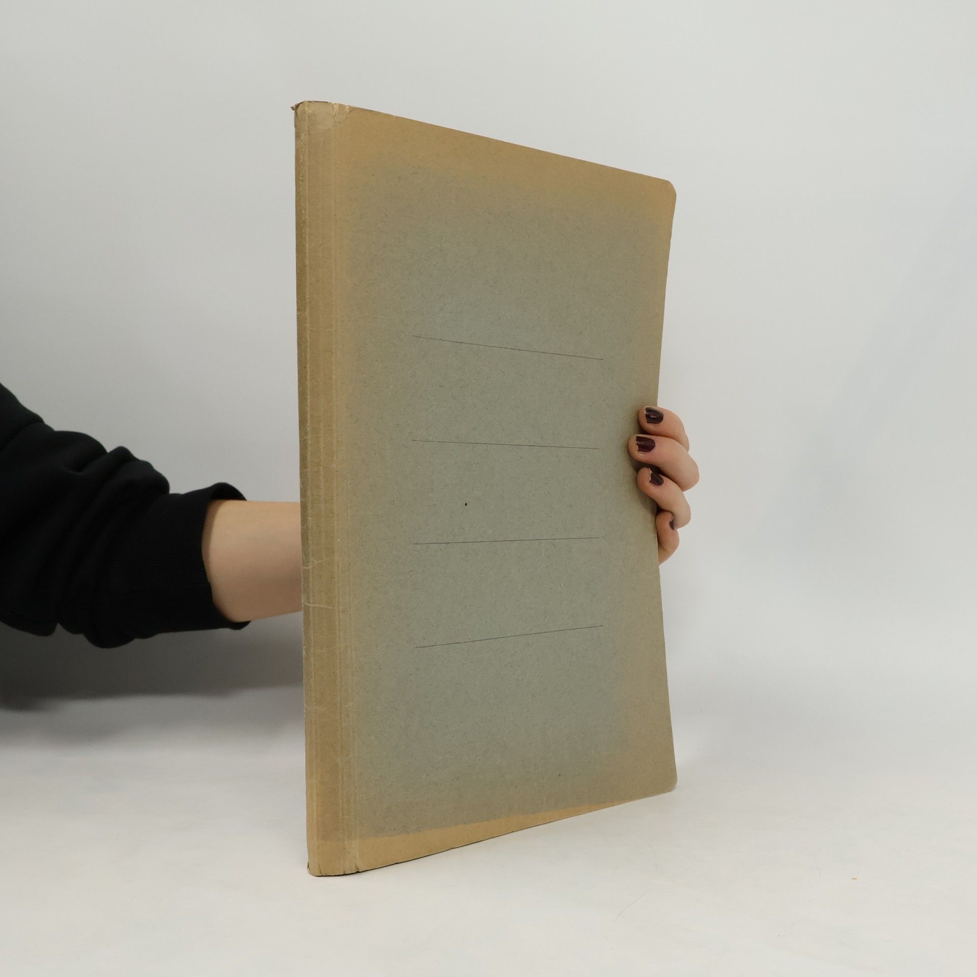 Einführung in die Industriesoziologie des Bausektors