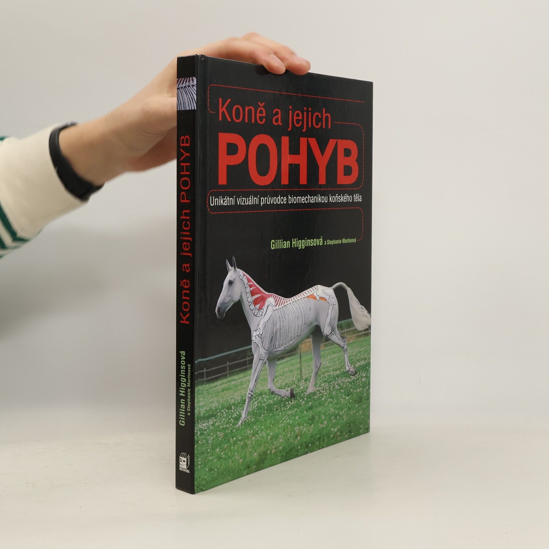 Koně a jejich pohyb