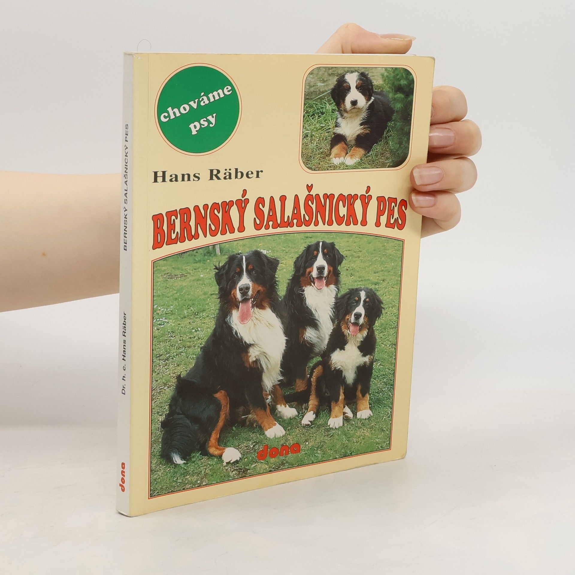 Hans Räber Bernský salašnický pes